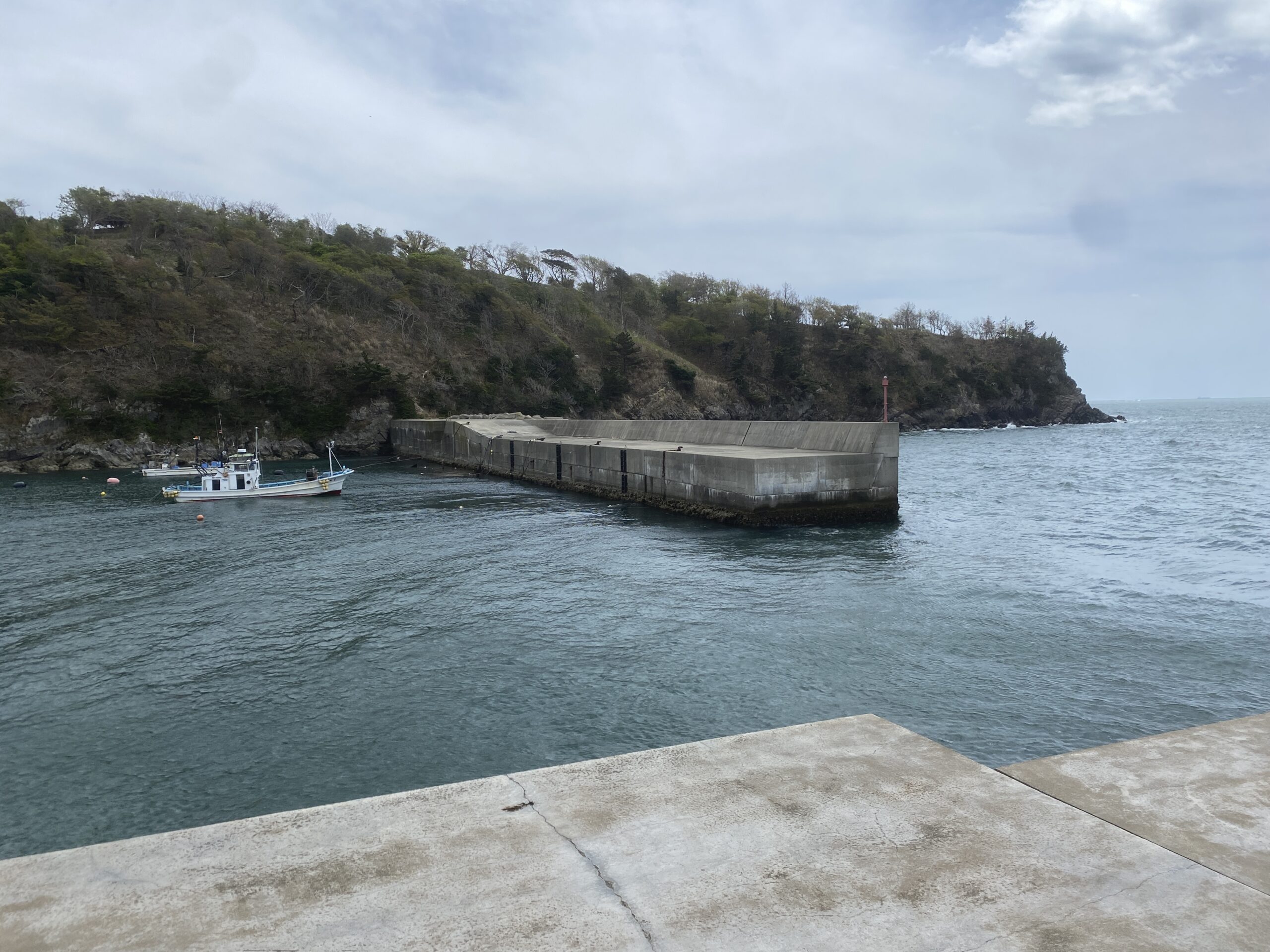 狐崎漁港　釣り
