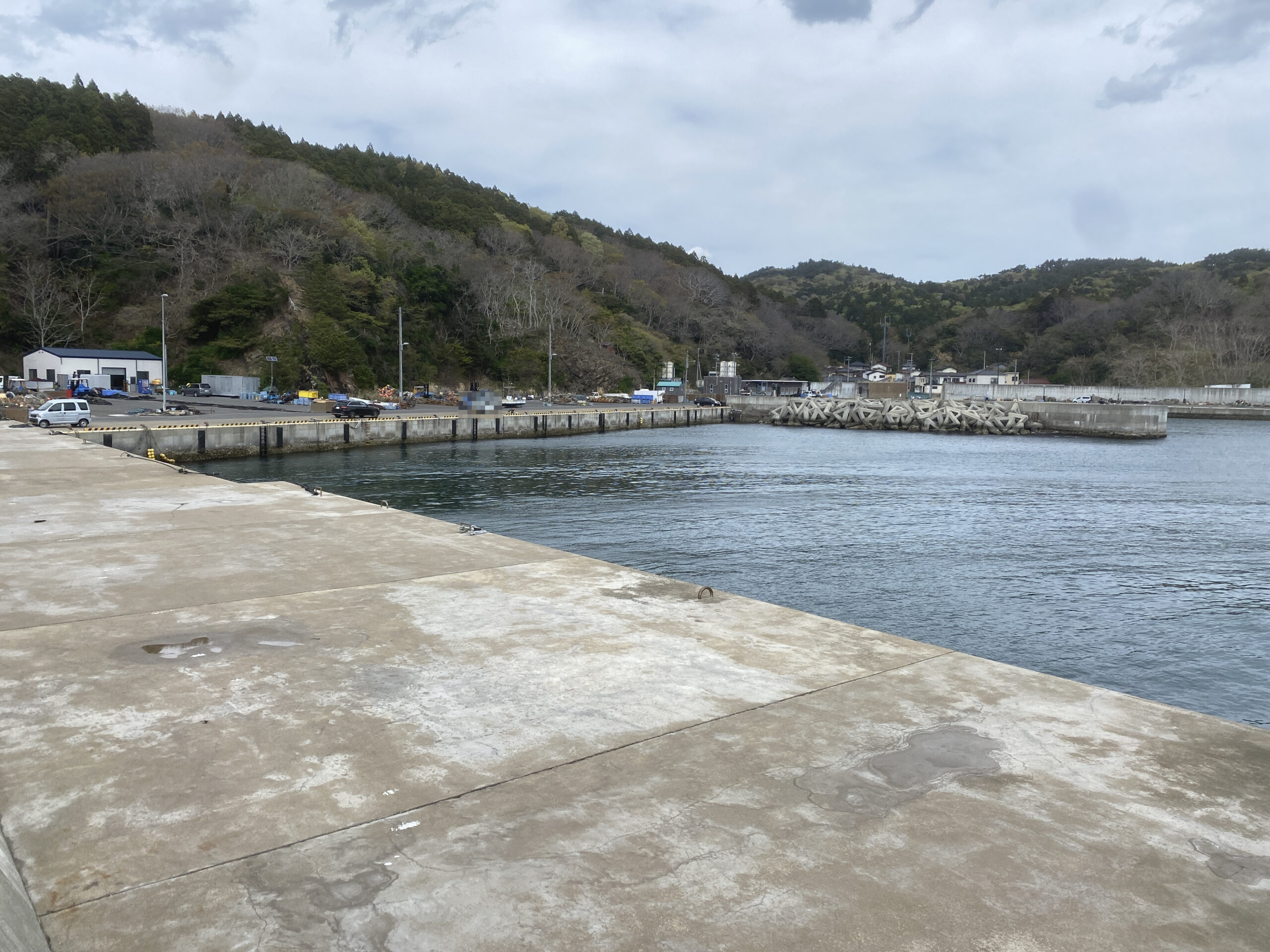 狐崎漁港　釣り