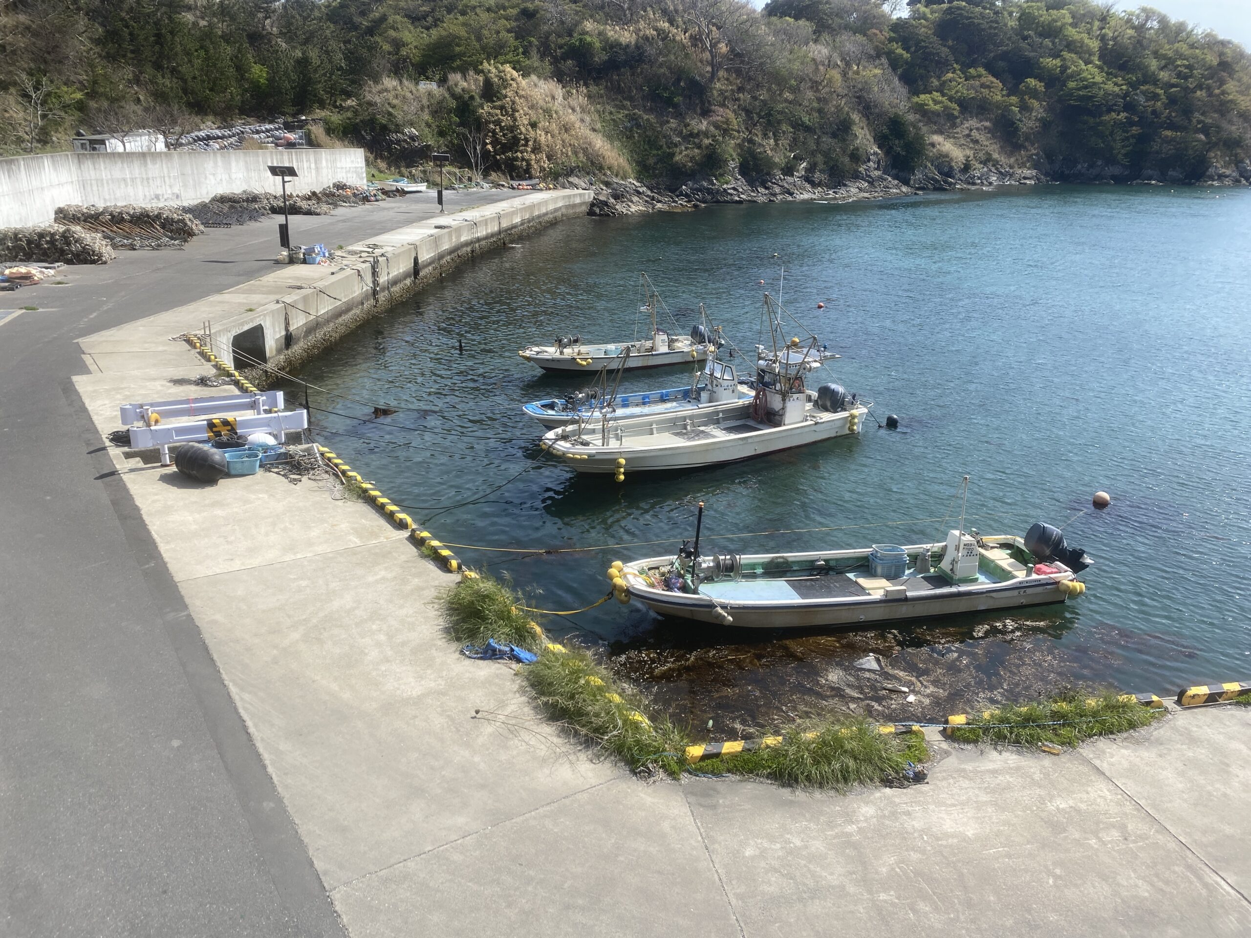 狐崎漁港　釣り