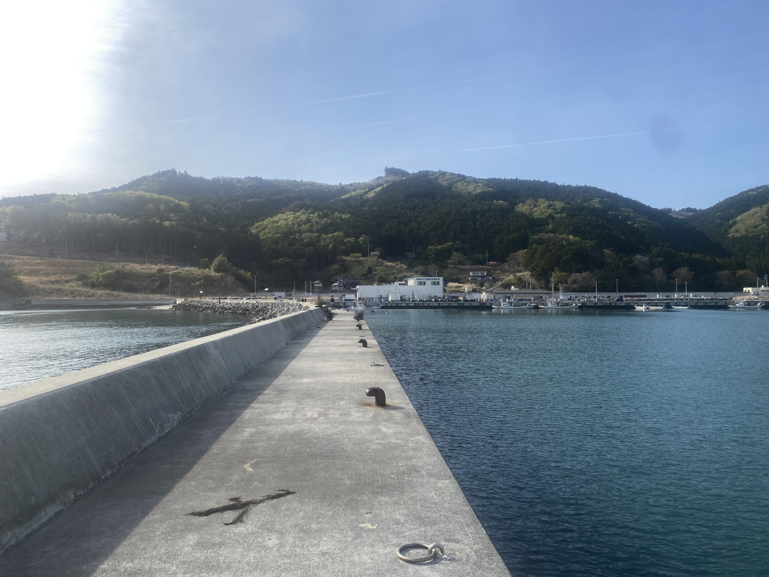 桃浦漁港　釣り