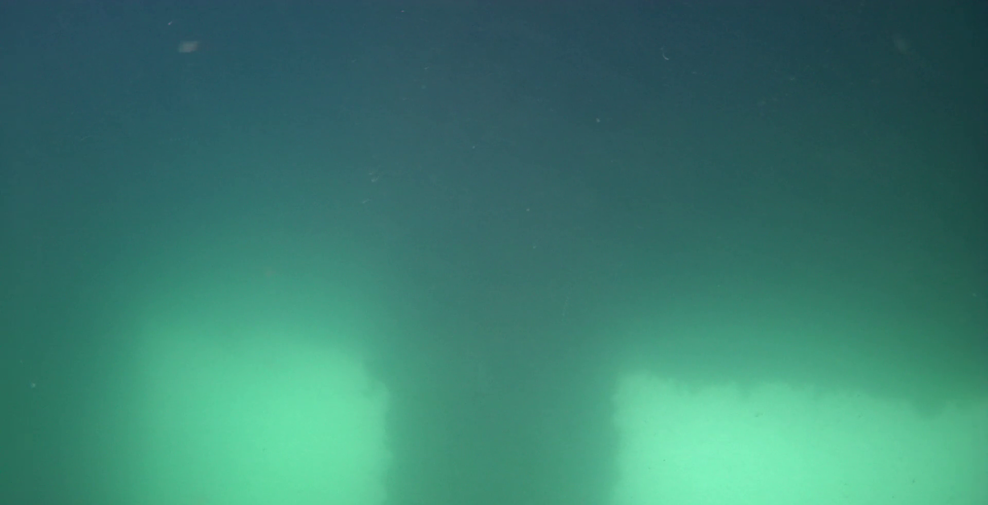 小積浜漁港 釣り 水中映像