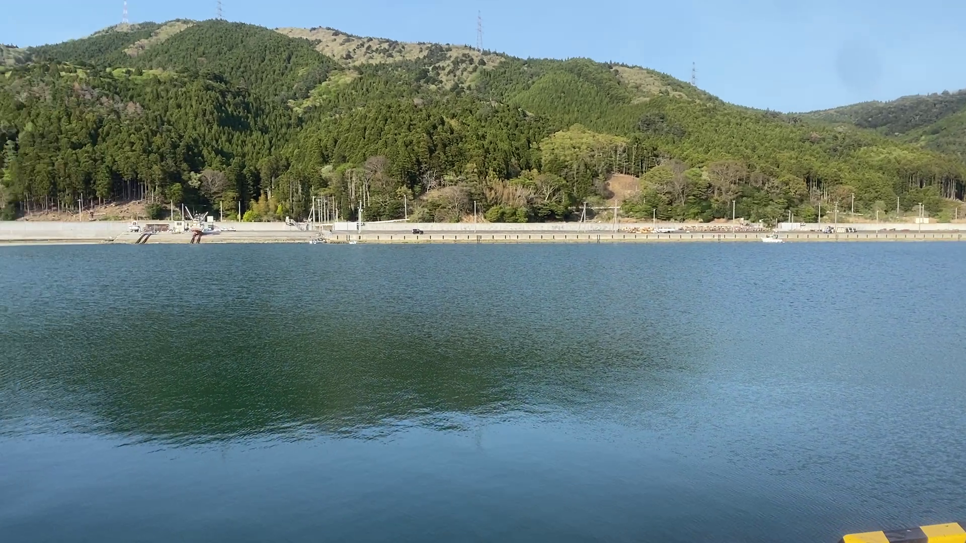 桃浦漁港　釣り