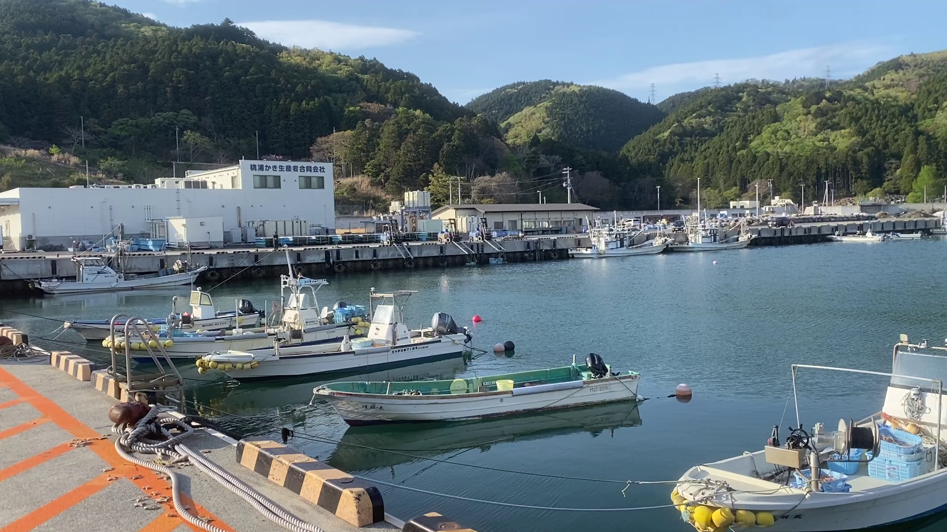 桃浦漁港　釣り