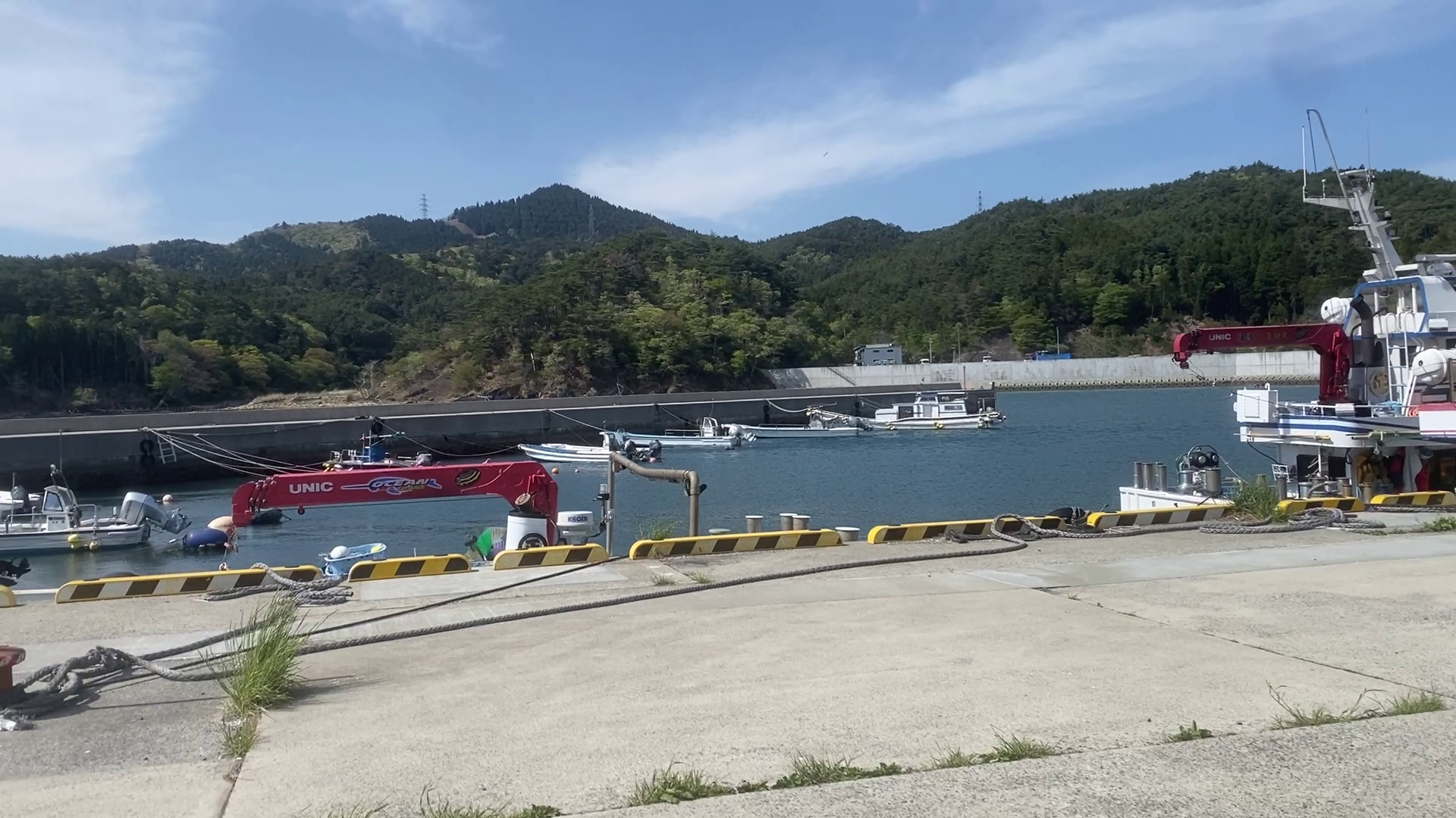 小積浜漁港 釣り