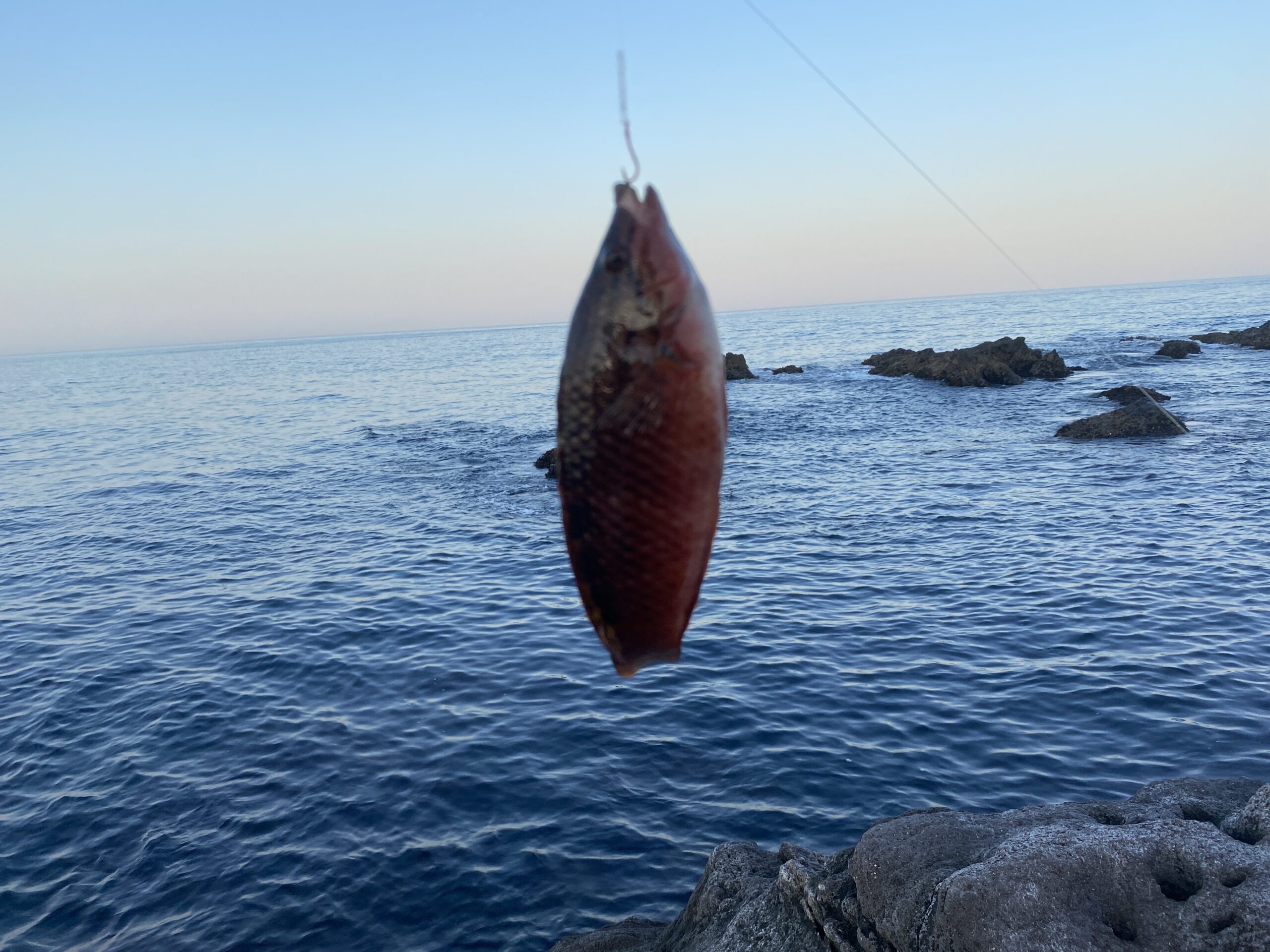 真鶴半島の磯釣りポイント　鉄棒