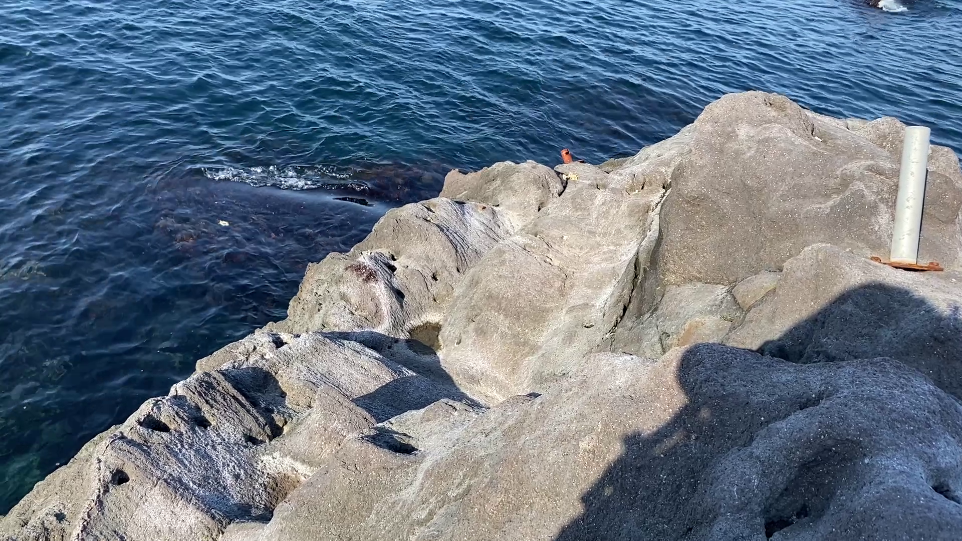 真鶴半島の磯釣りポイント　鉄棒