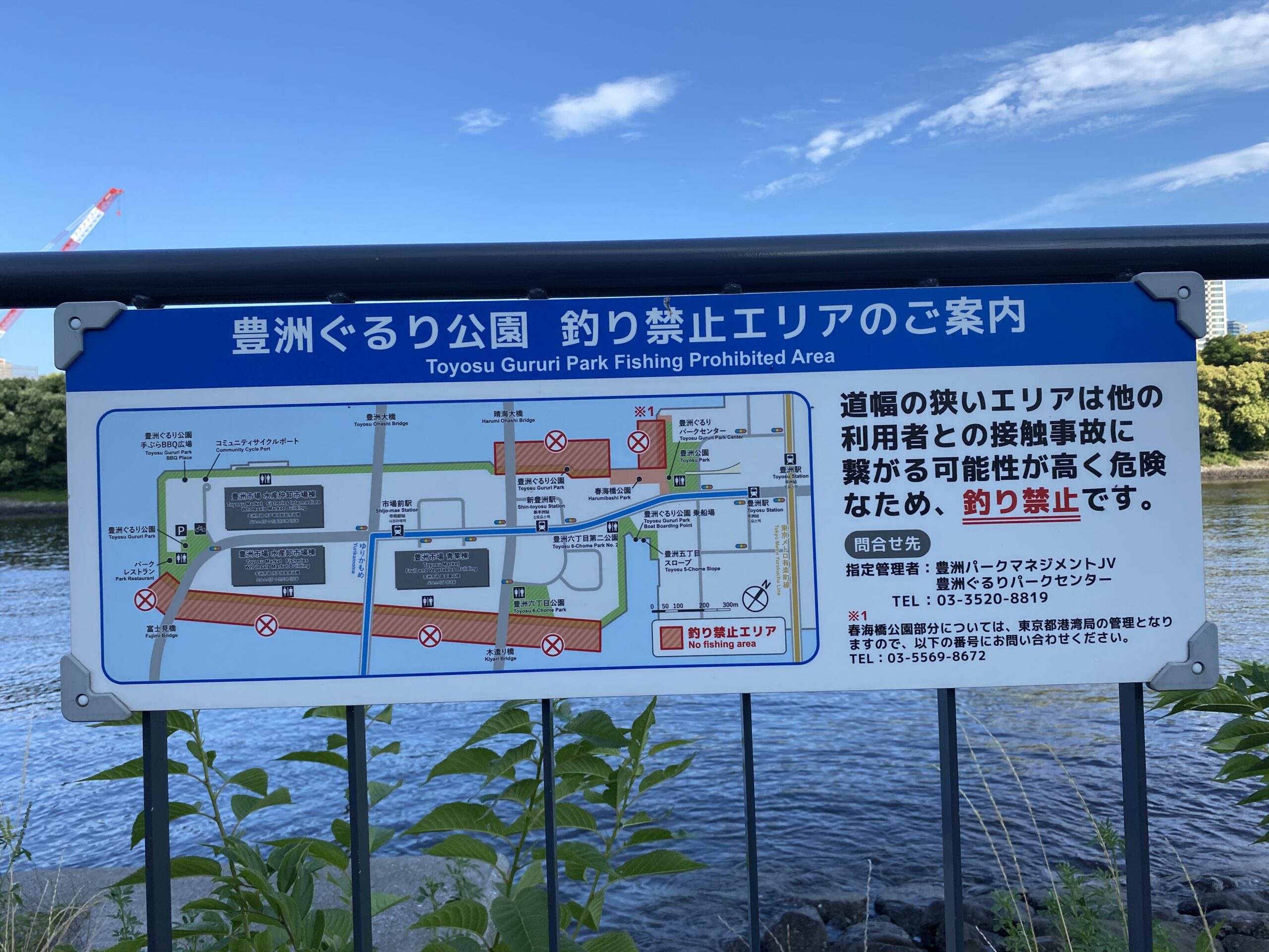 豊洲 東電堀 釣り