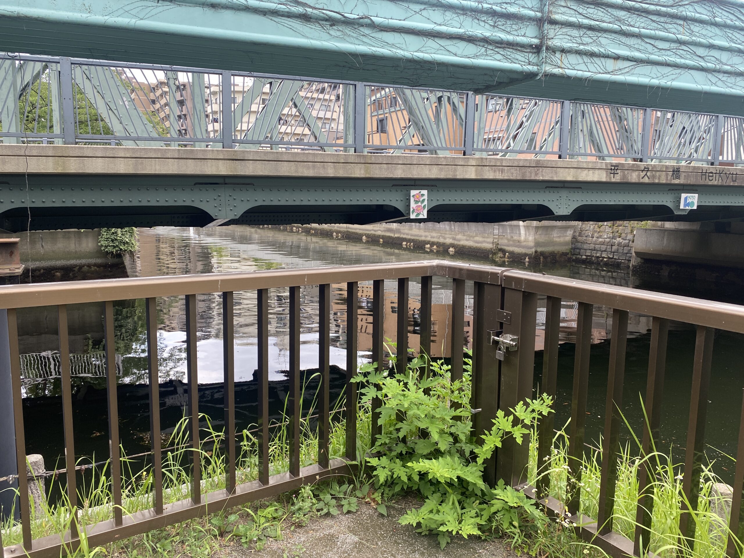 平久橋 水辺の散歩道 釣り
