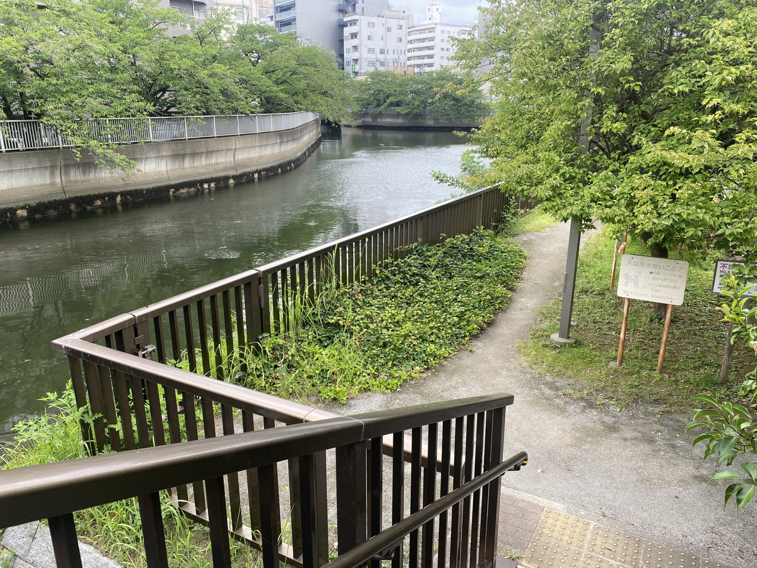 平久橋 水辺の散歩道 釣り