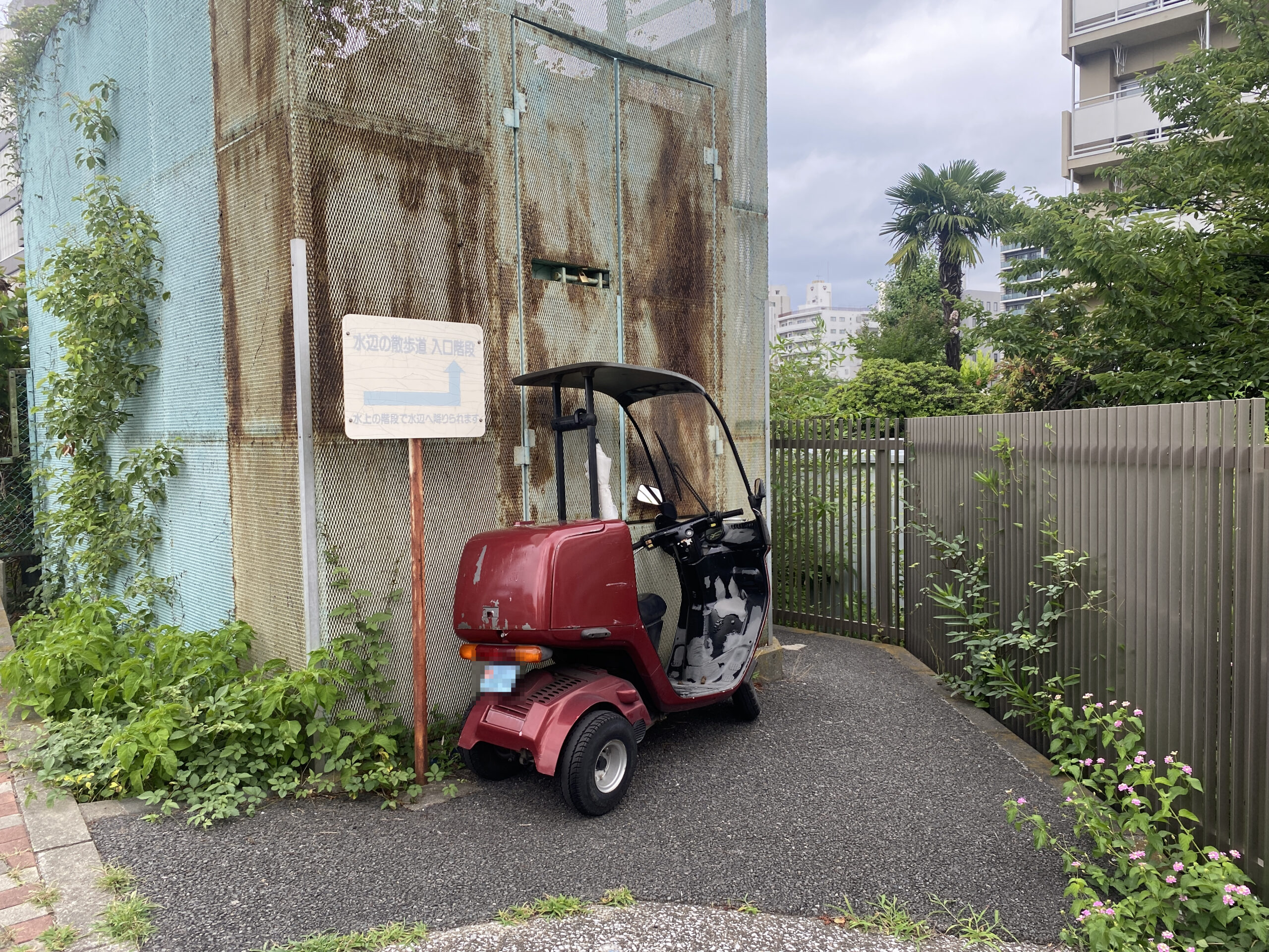 平久橋 水辺の散歩道 釣り