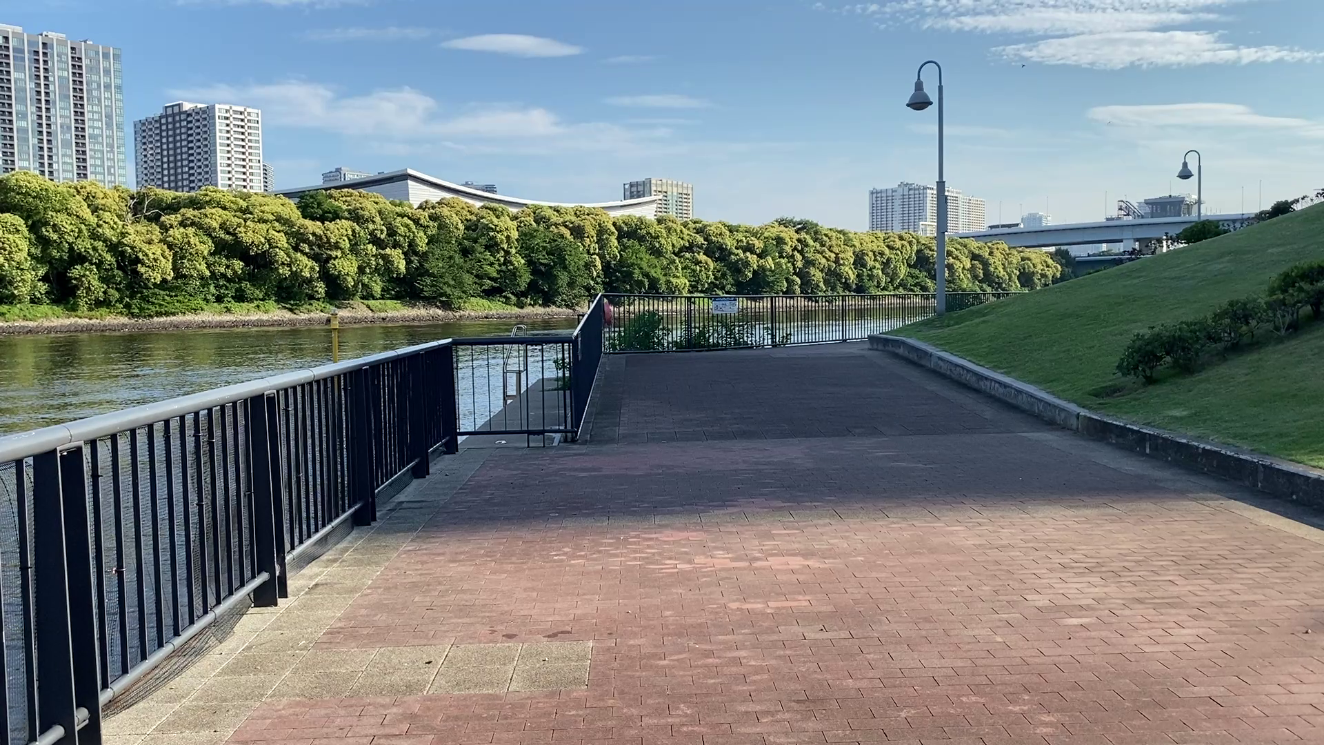 豊洲 東電堀 釣り