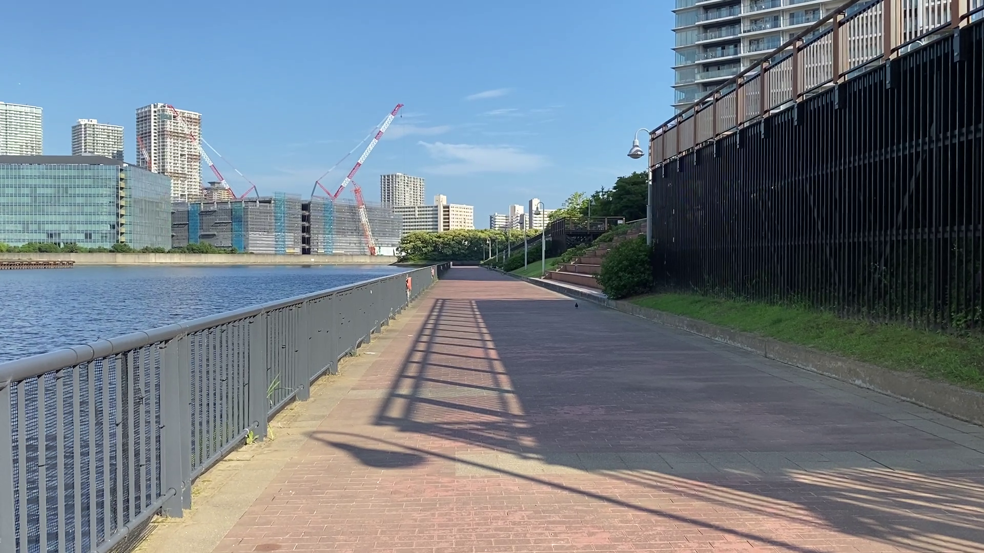 豊洲 東電堀 釣り