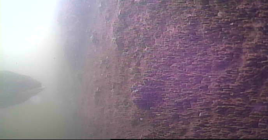 平久橋 水辺の散歩道 釣り 水中映像