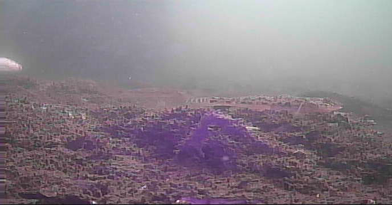 平久橋 水辺の散歩道 釣り 水中映像