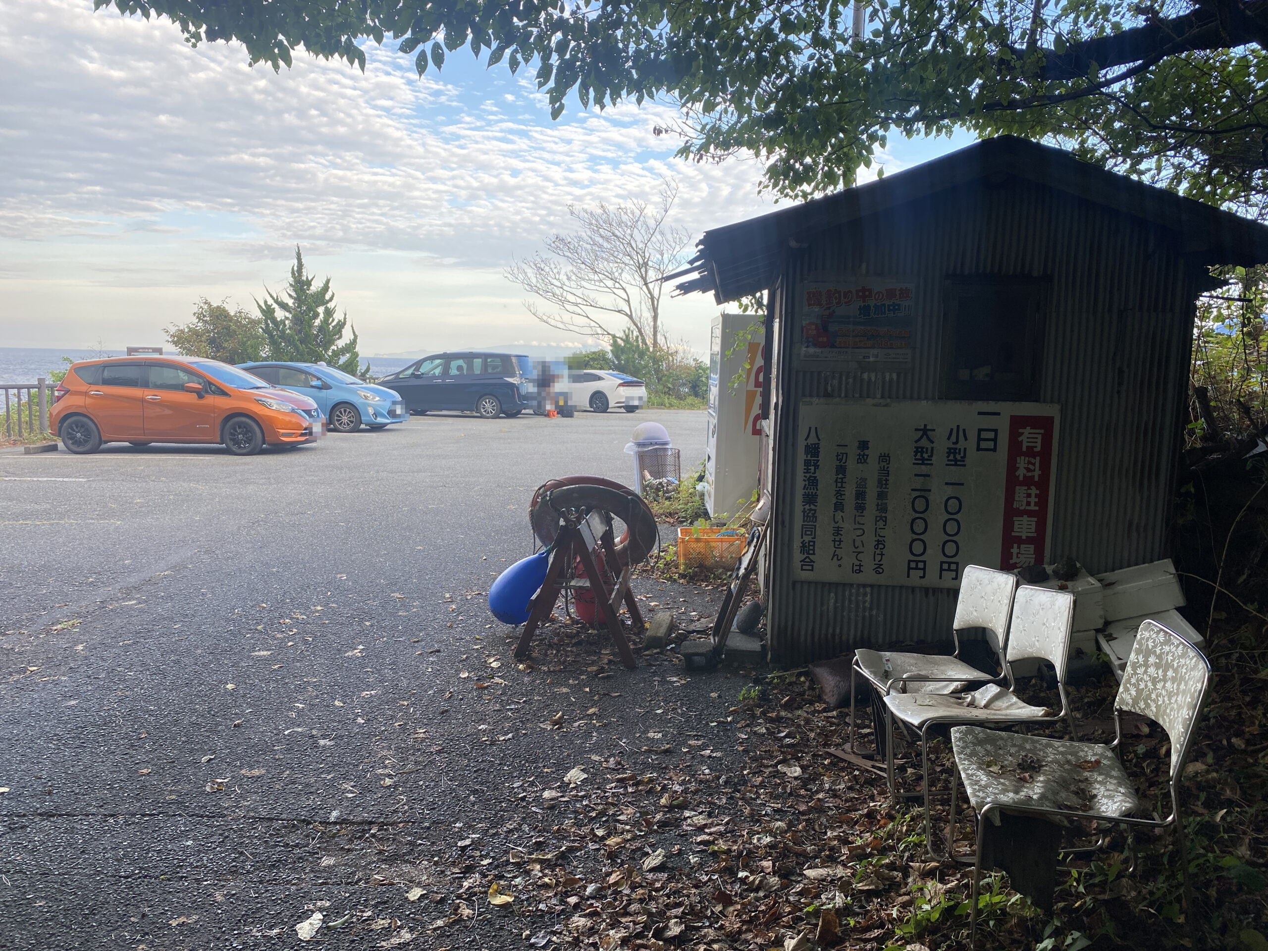 八幡野港　釣り