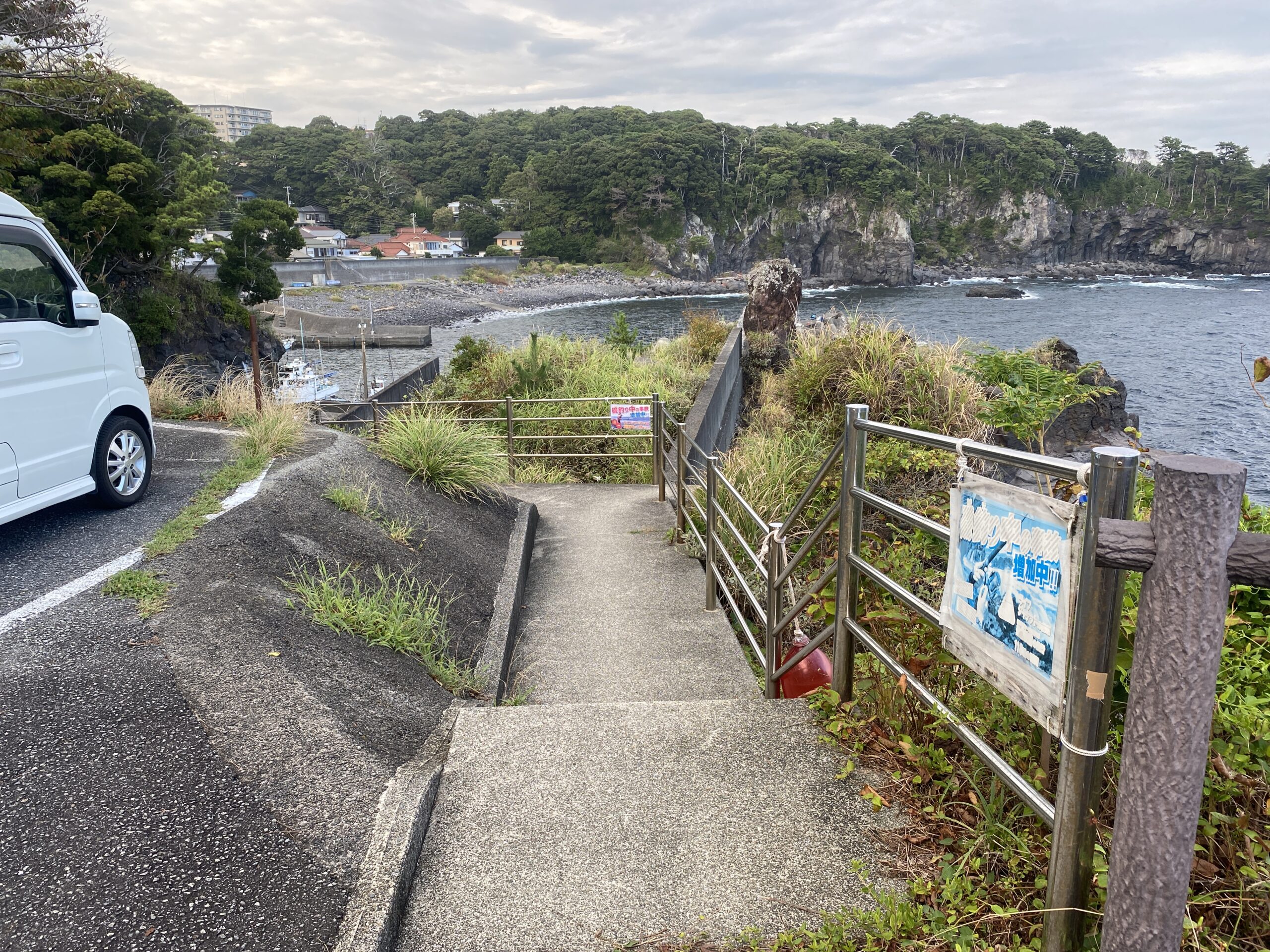 八幡野港　釣り
