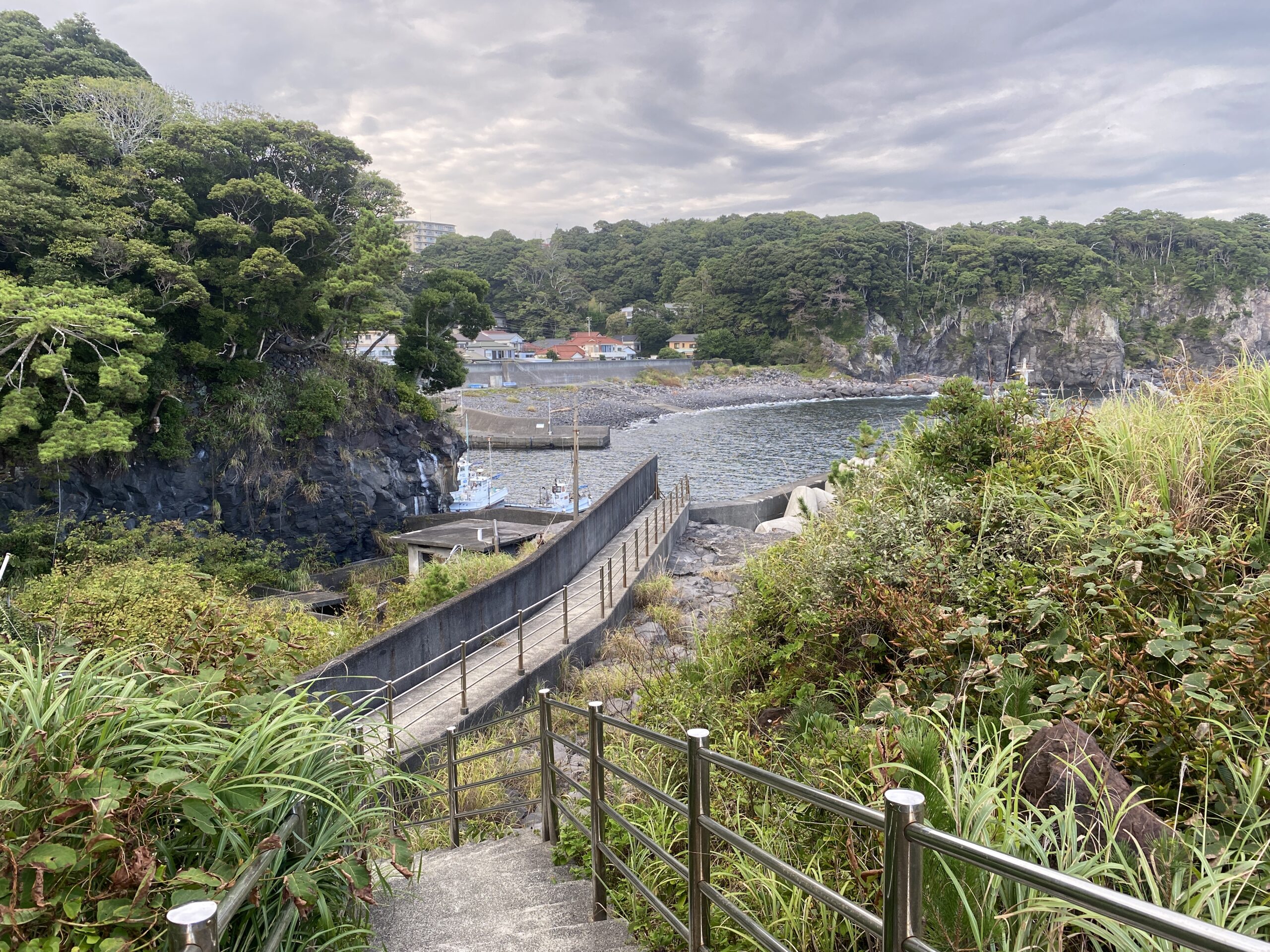 八幡野港　釣り