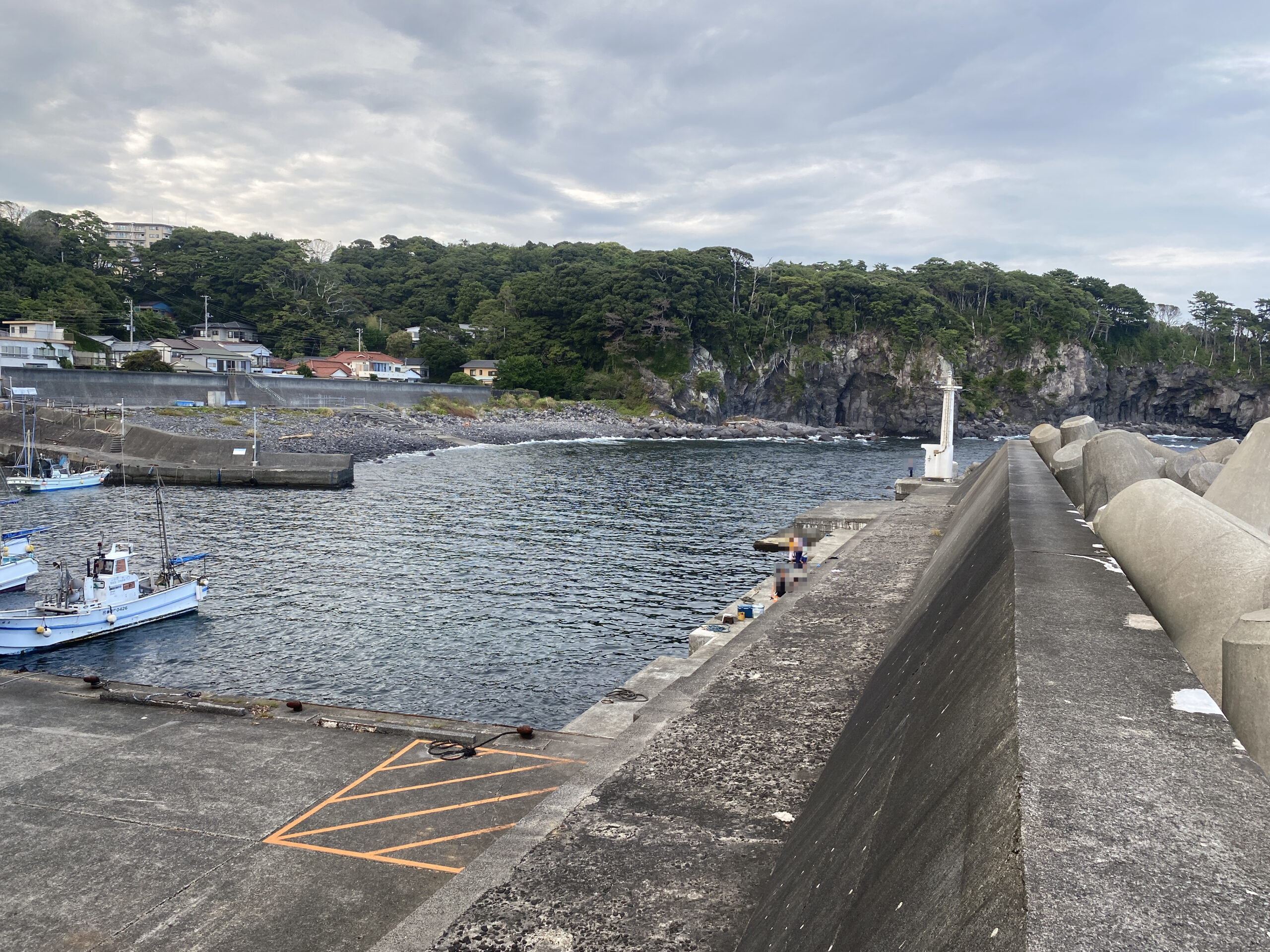 八幡野港　釣り