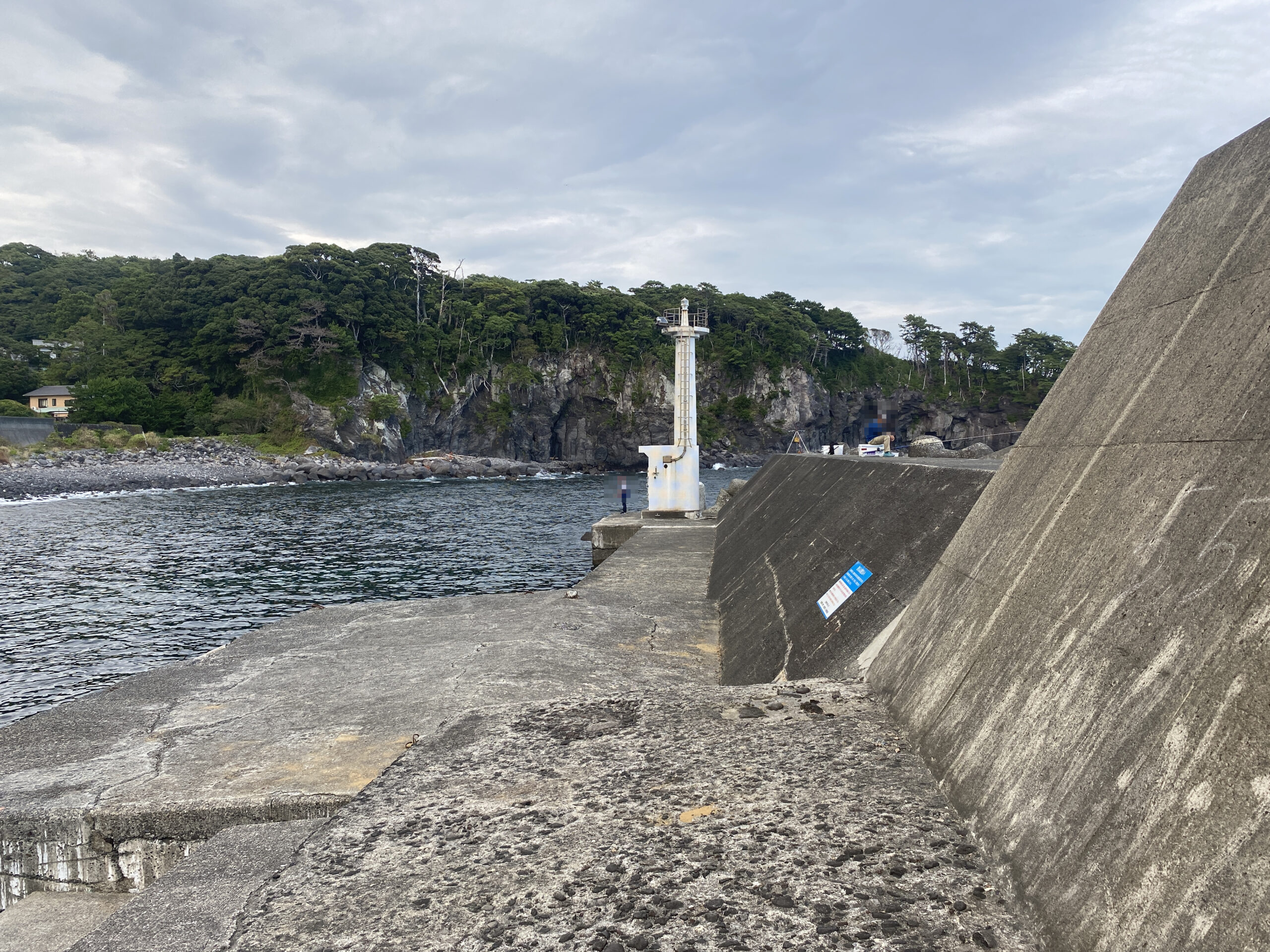 八幡野港　釣り