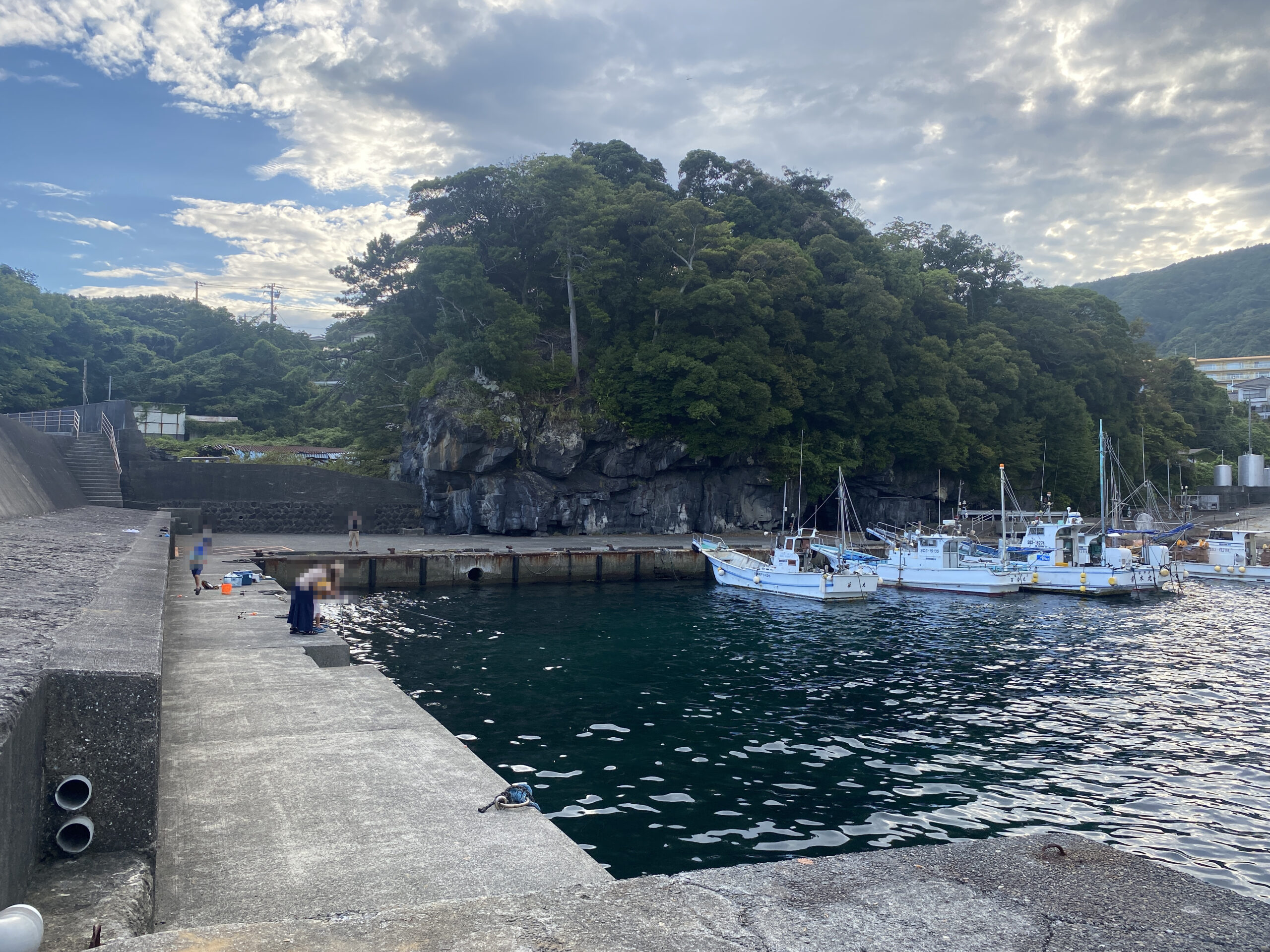 八幡野港　釣り