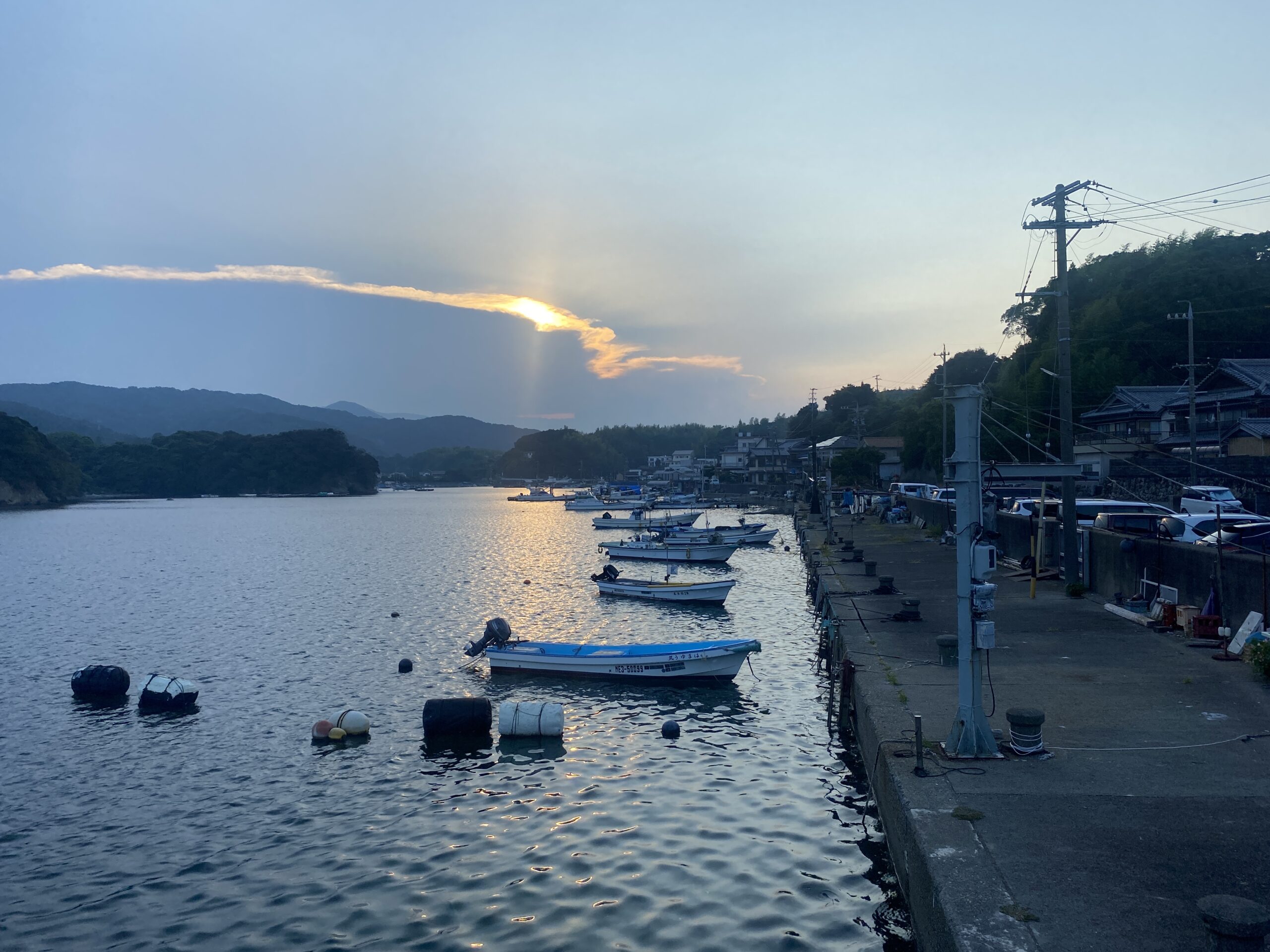 安楽島漁港 釣り