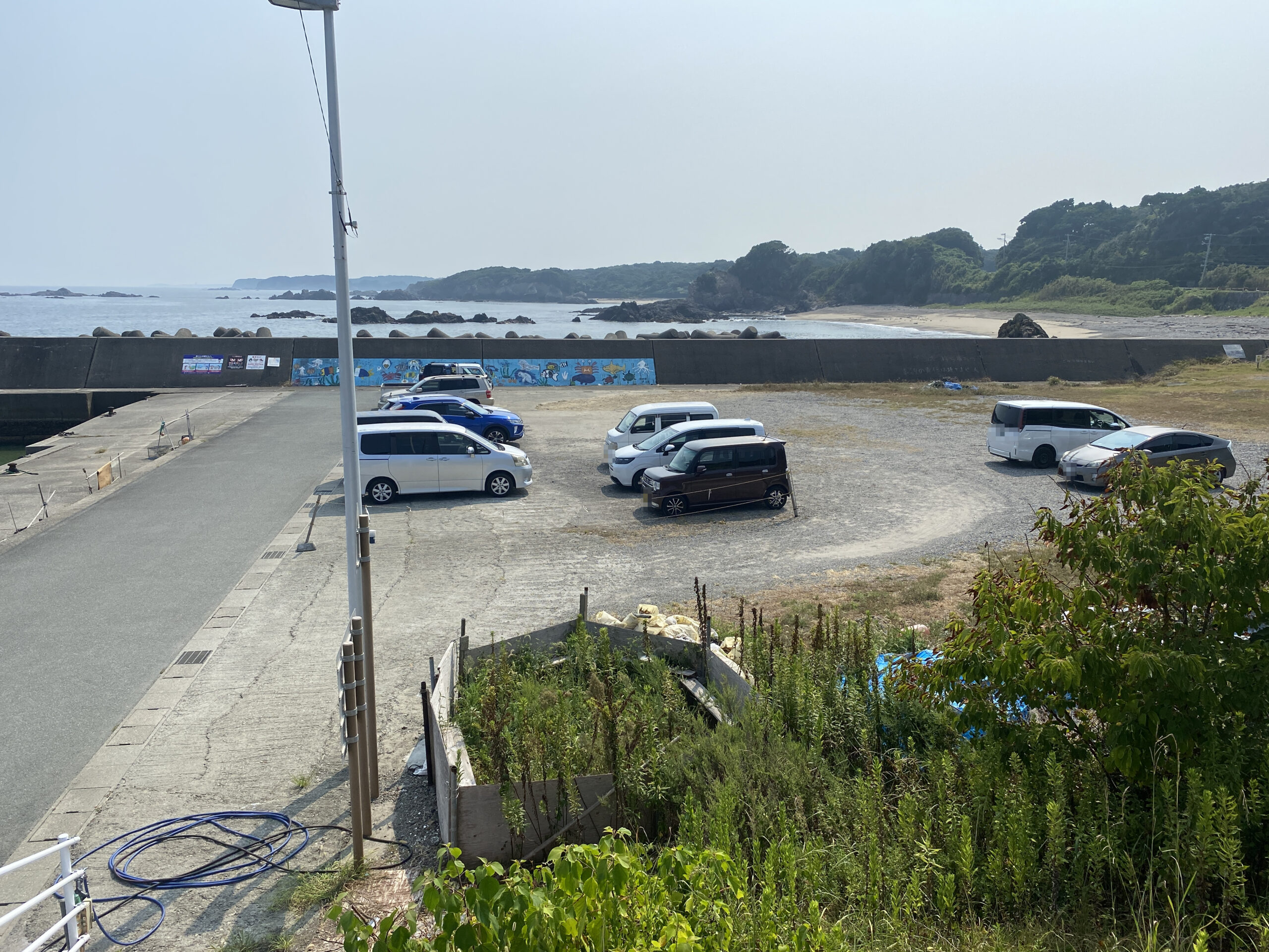 国崎漁港　釣り