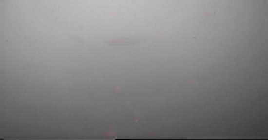 畔蛸漁港　釣り　水中映像