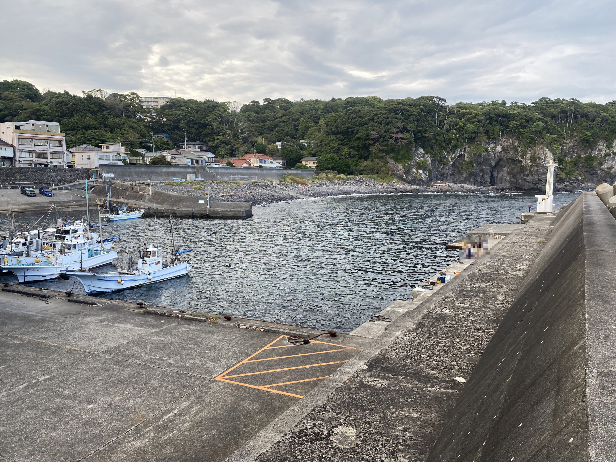 八幡野港　釣り