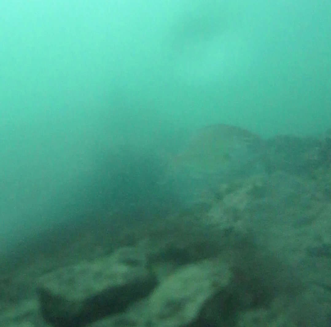 安楽島漁港 釣り 水中映像