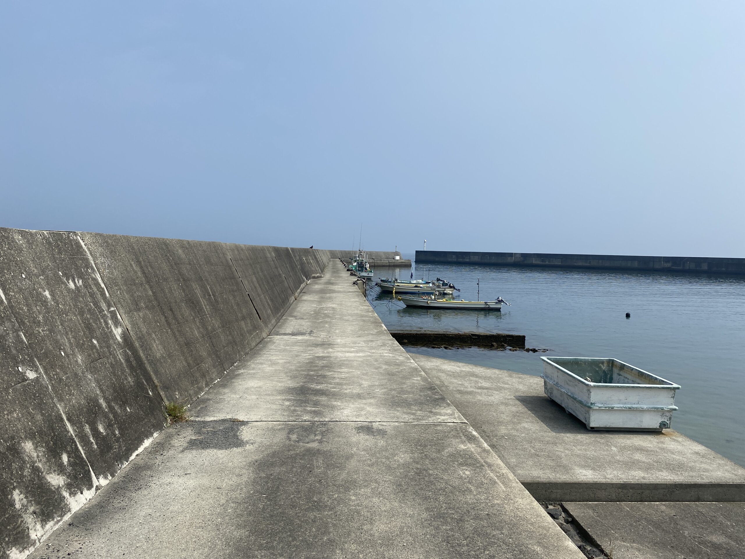 甲賀漁港　釣り