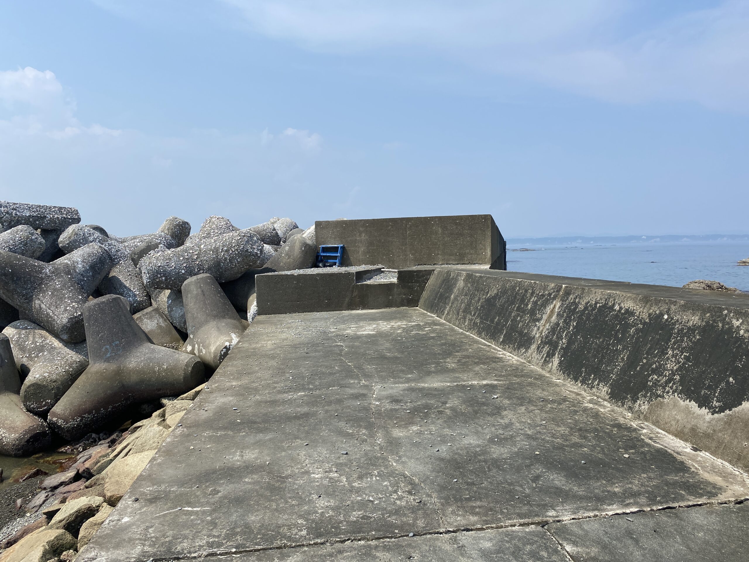 甲賀漁港　釣り