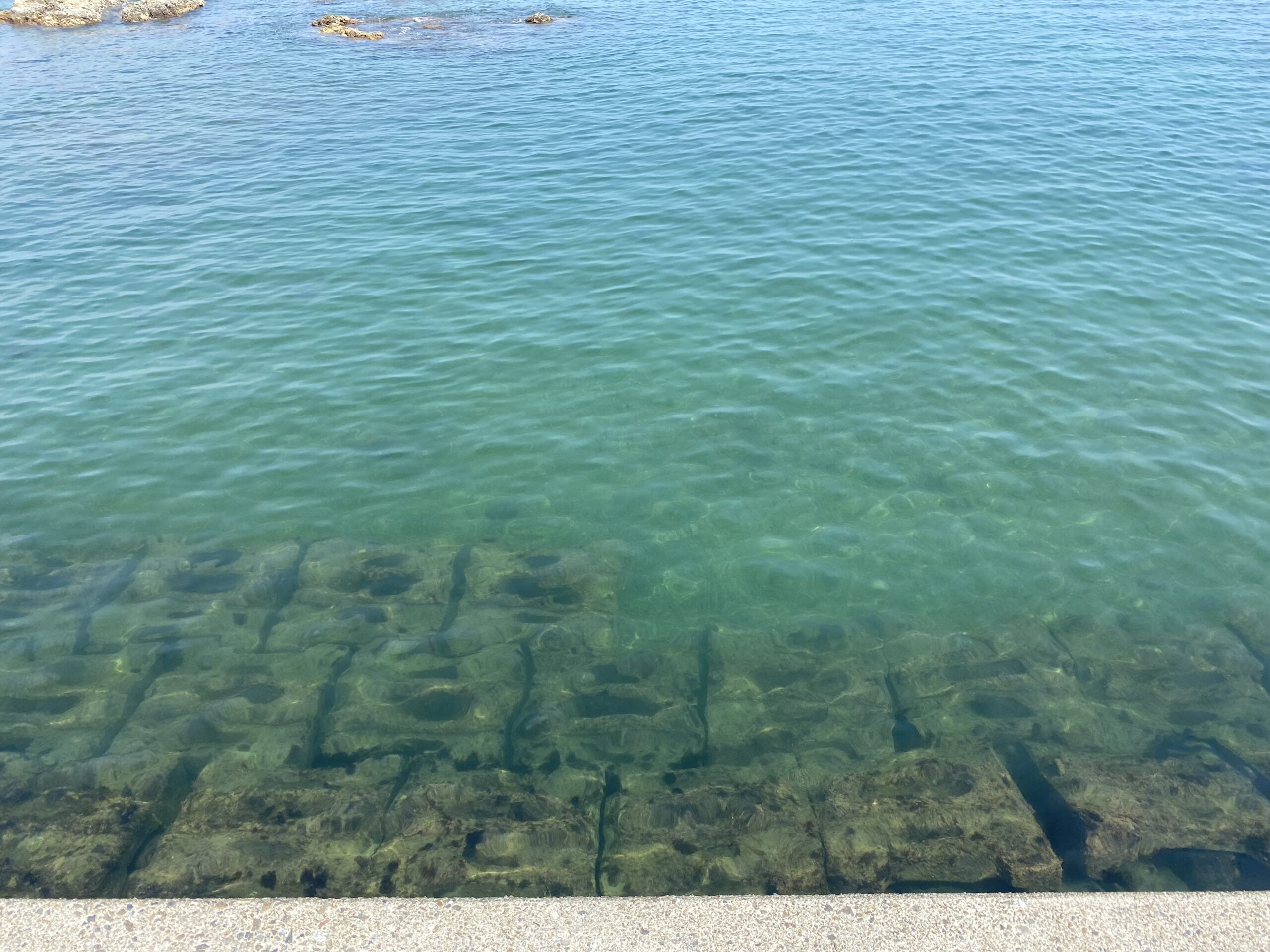 甲賀漁港　釣り