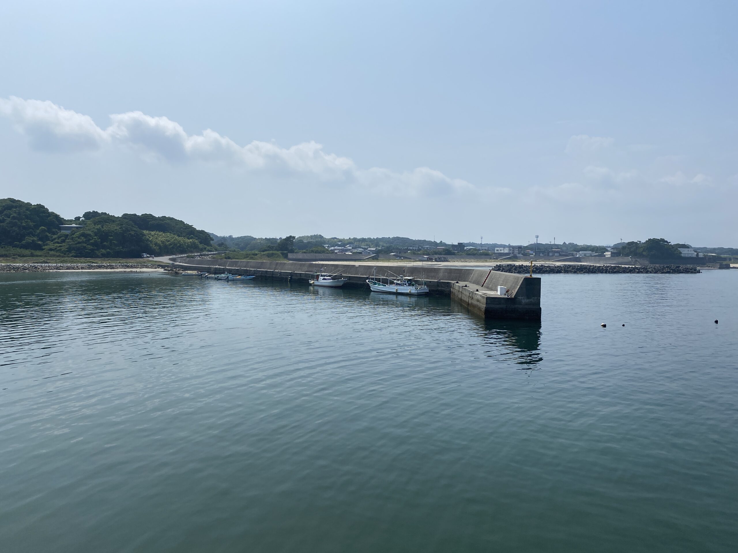 甲賀漁港　釣り