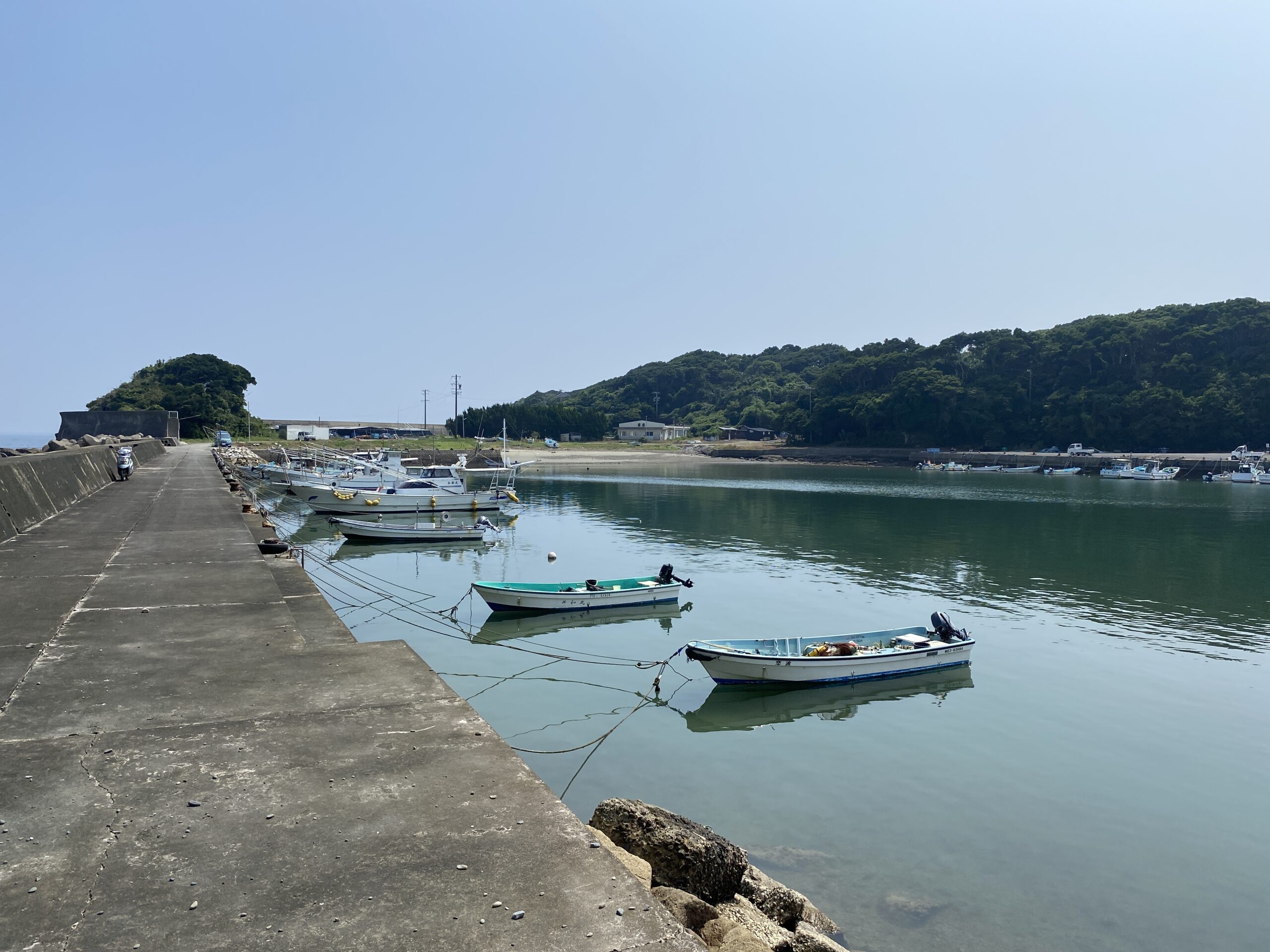甲賀漁港　釣り