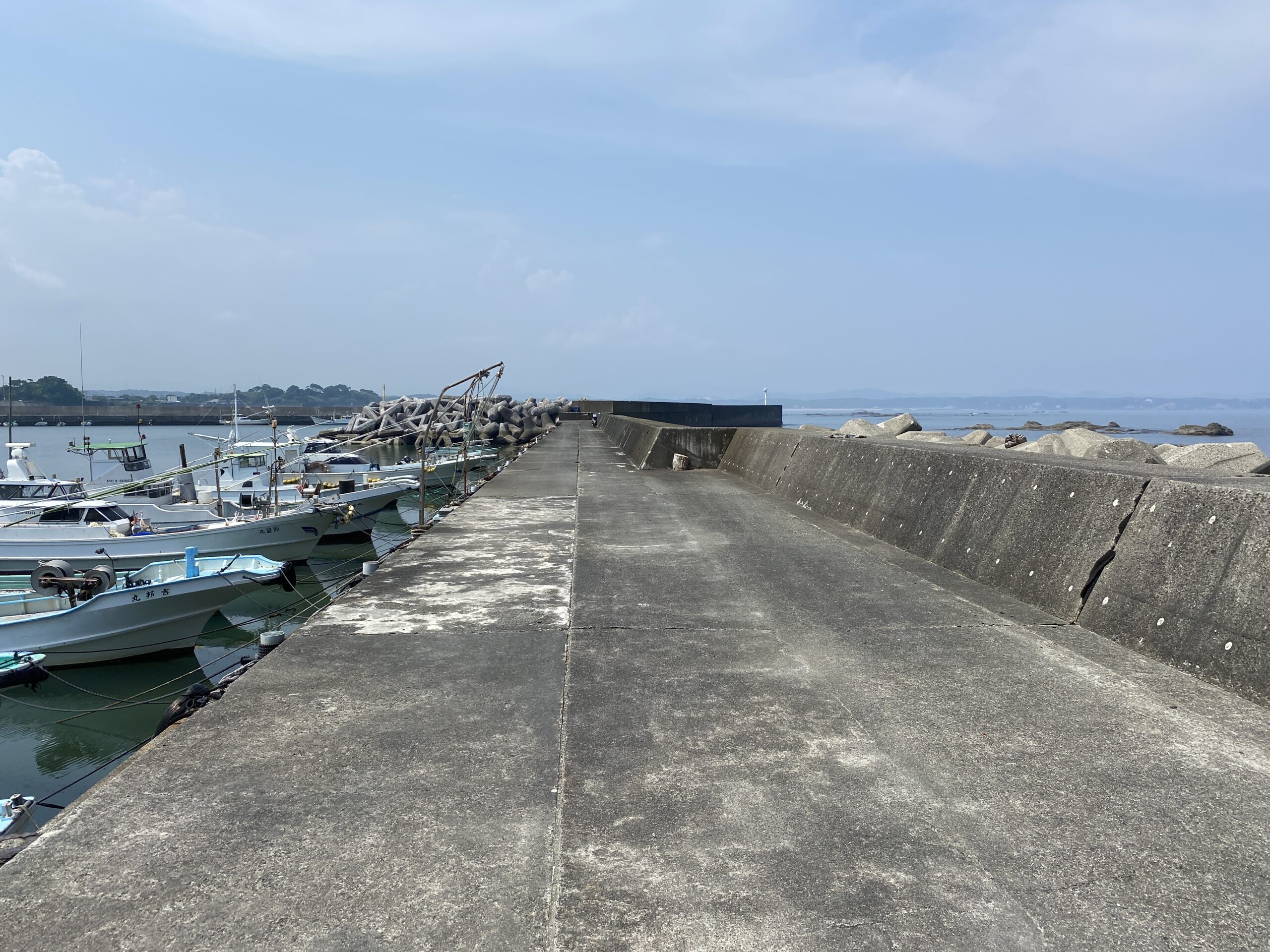 甲賀漁港　釣り