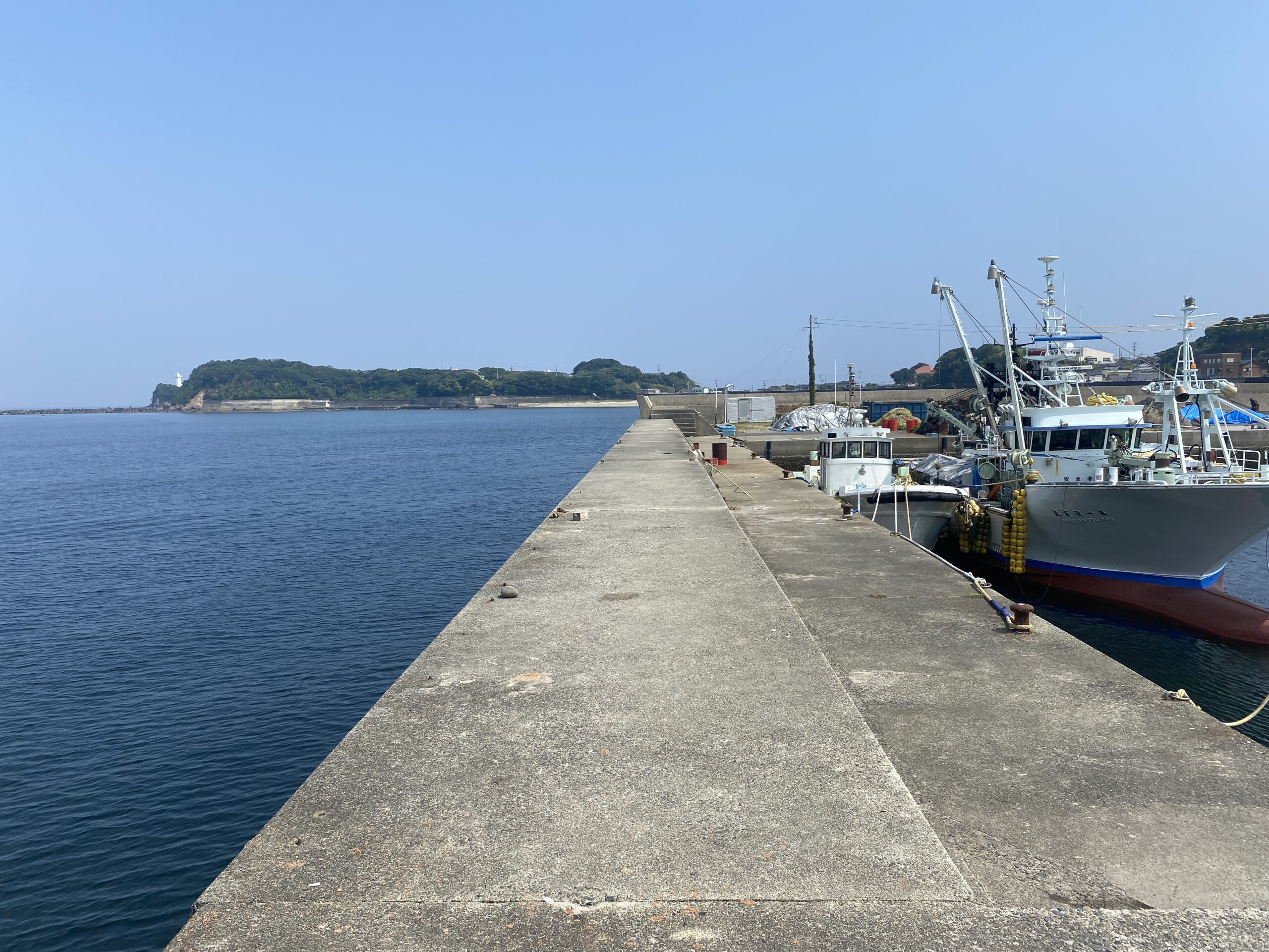 安乗漁港　釣り