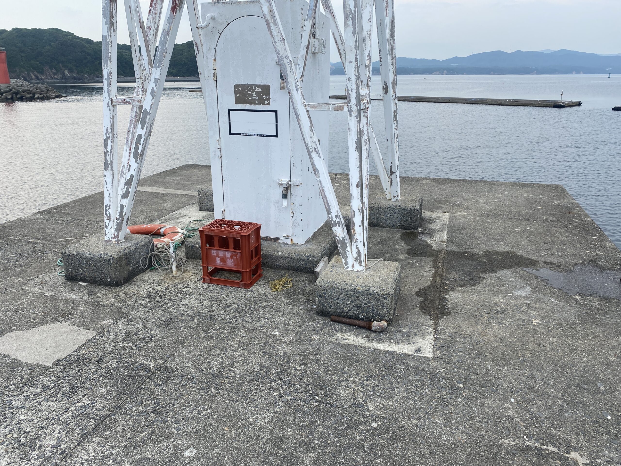 安乗漁港　釣り