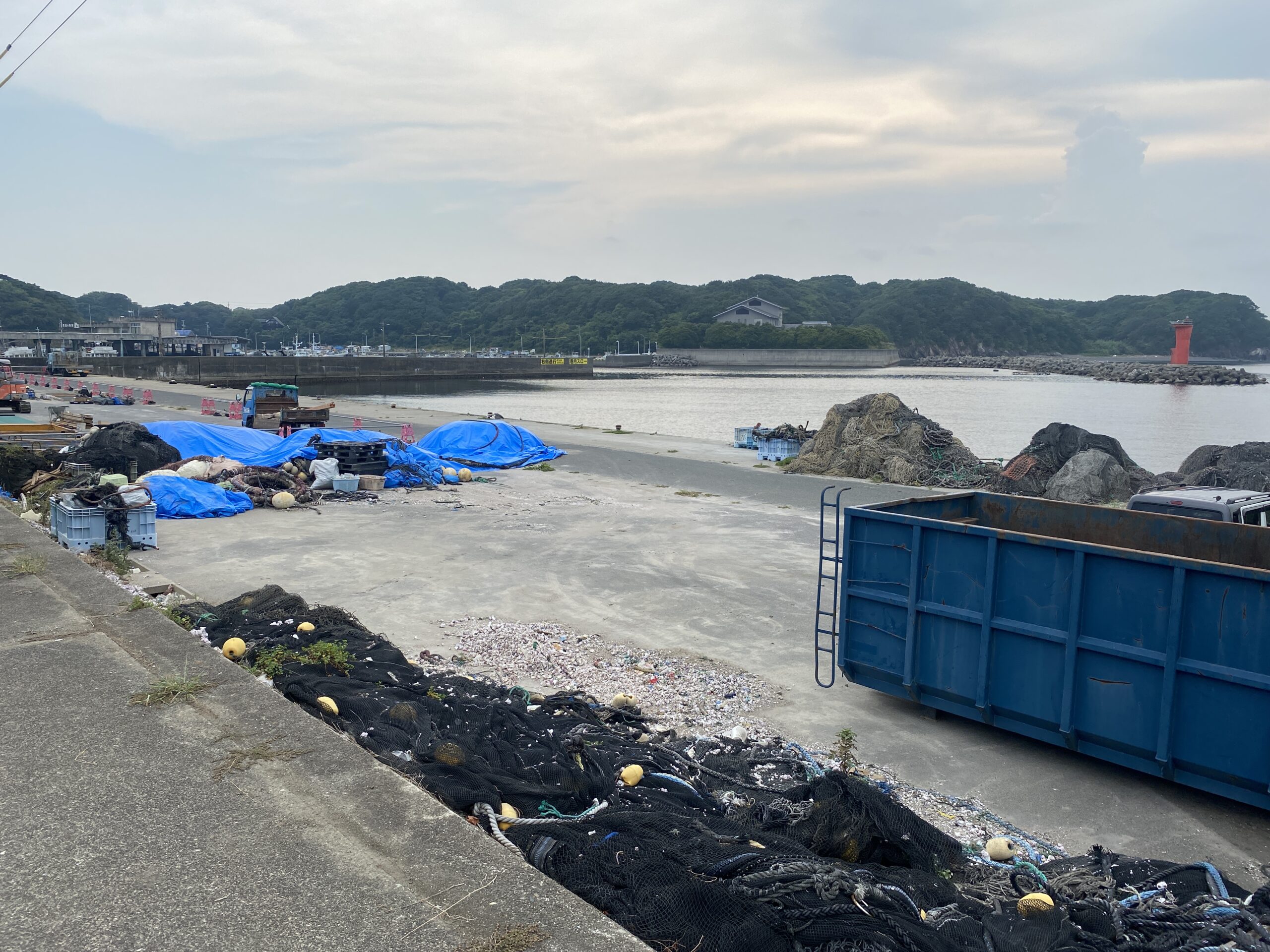 安乗漁港　釣り