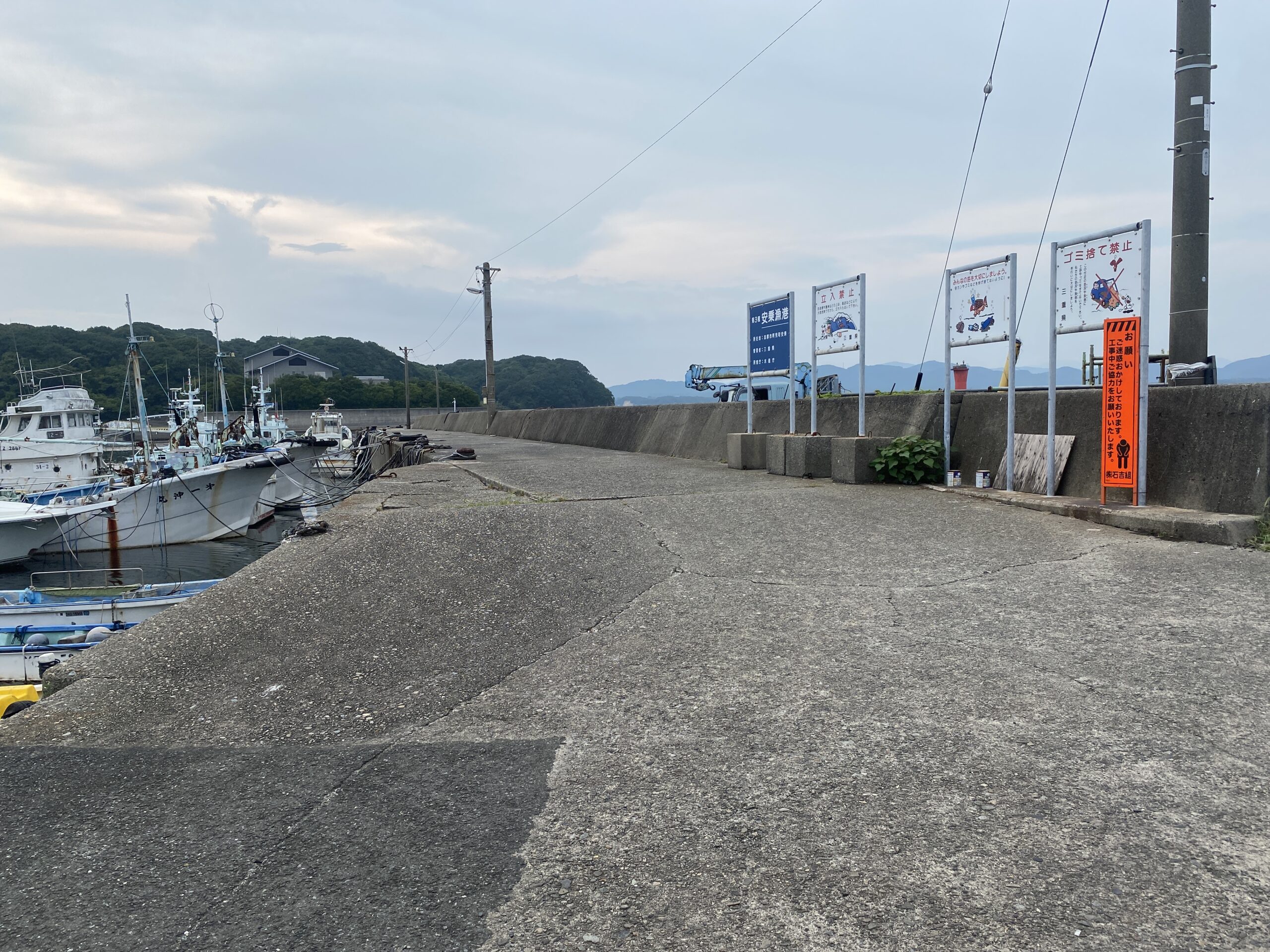 安乗漁港　釣り