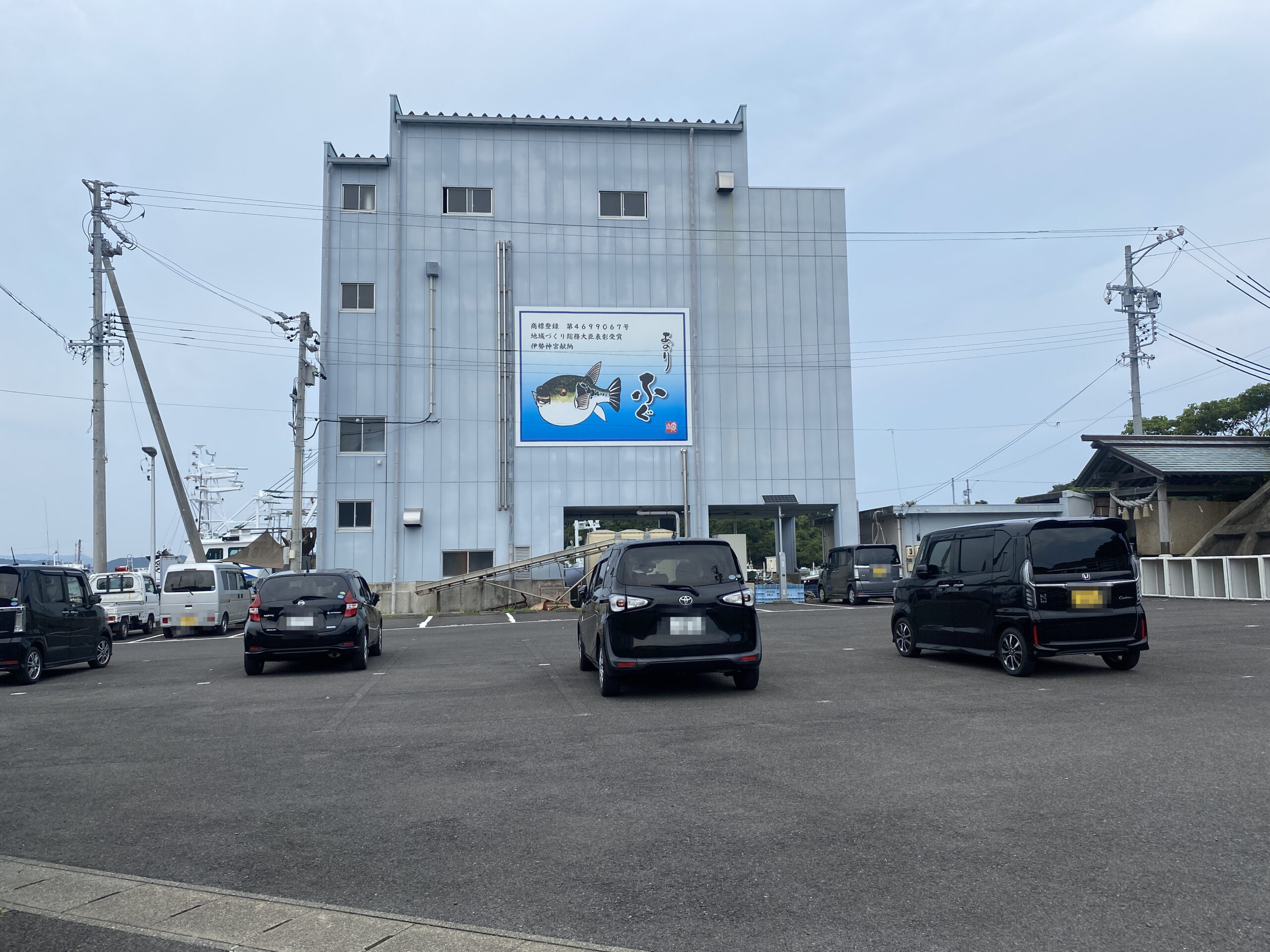 安乗漁港　釣り