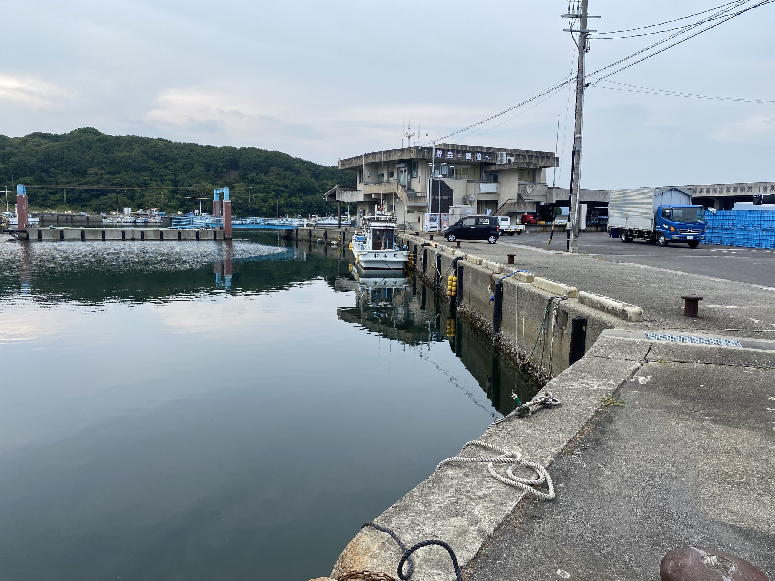 安乗漁港　釣り