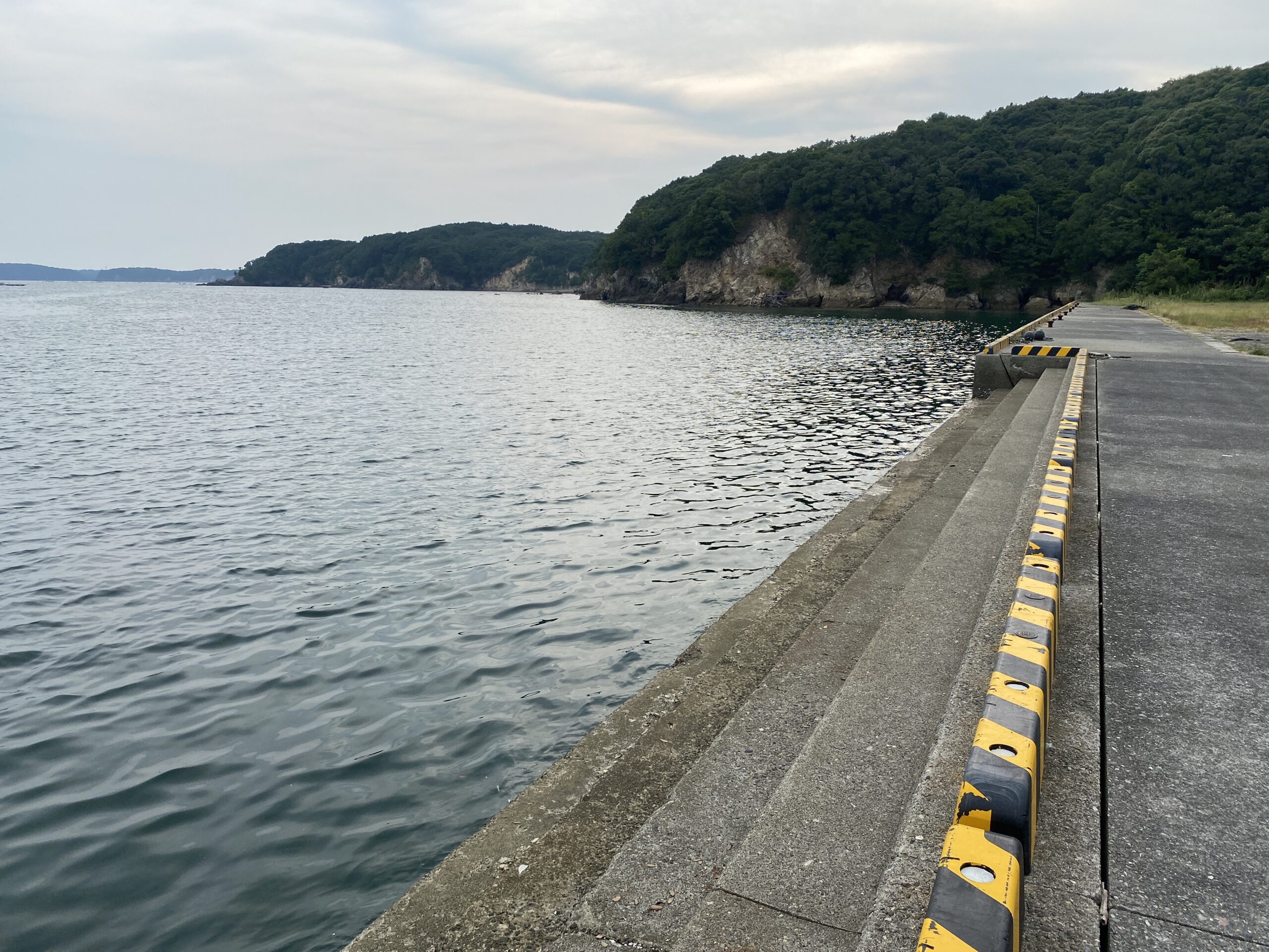 畔蛸漁港　釣り