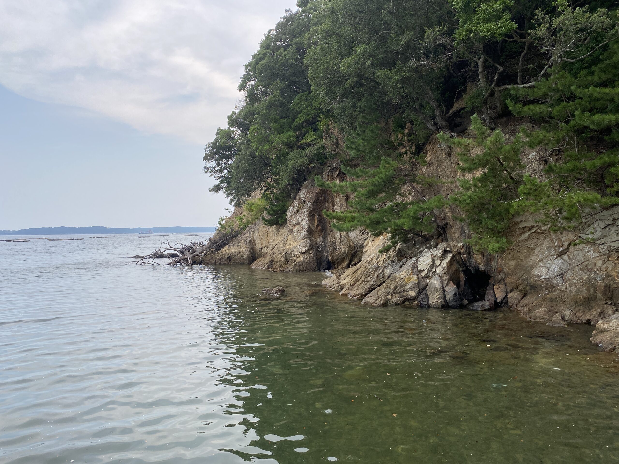 畔蛸漁港　釣り