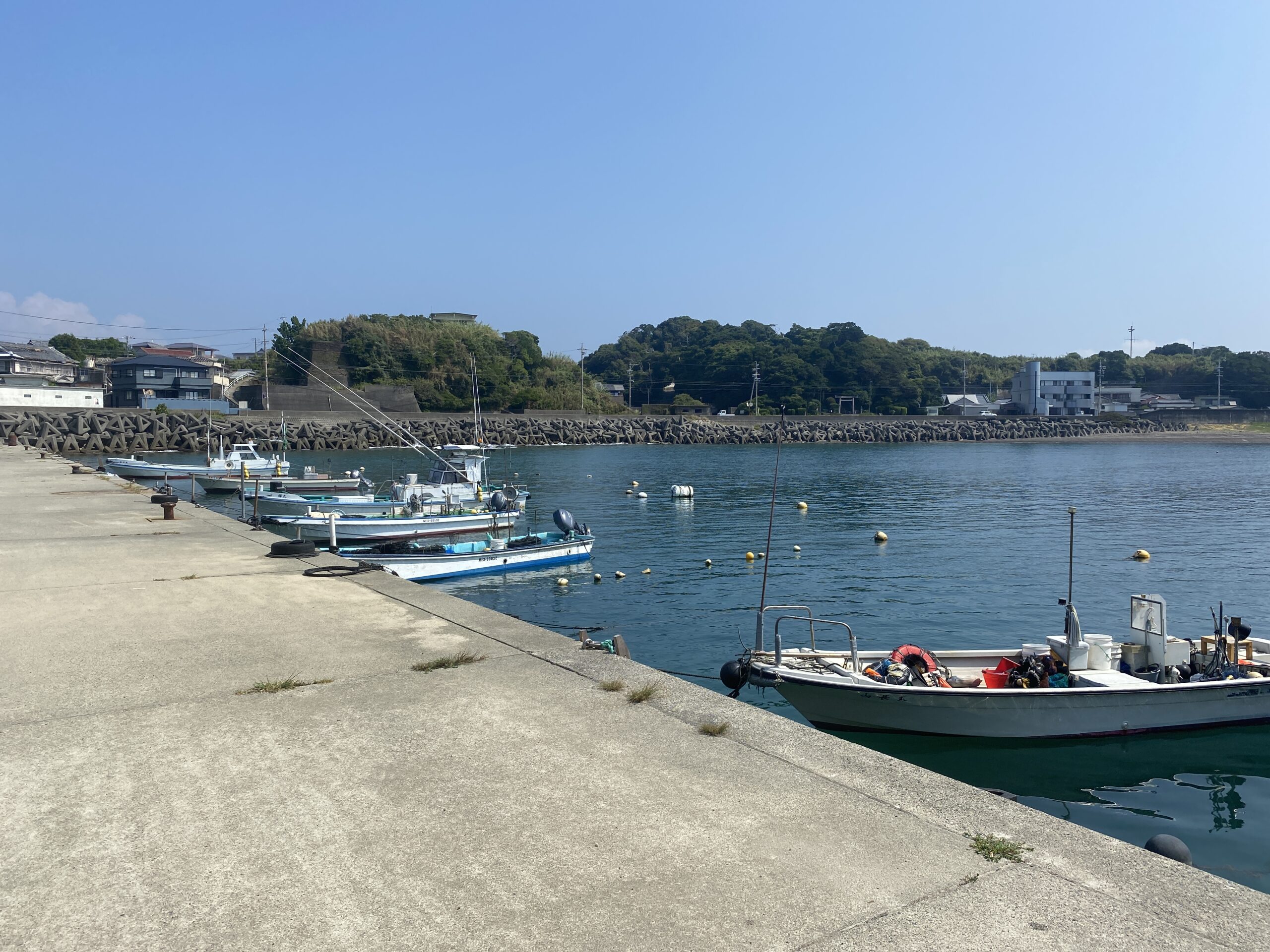 越賀漁港　釣り