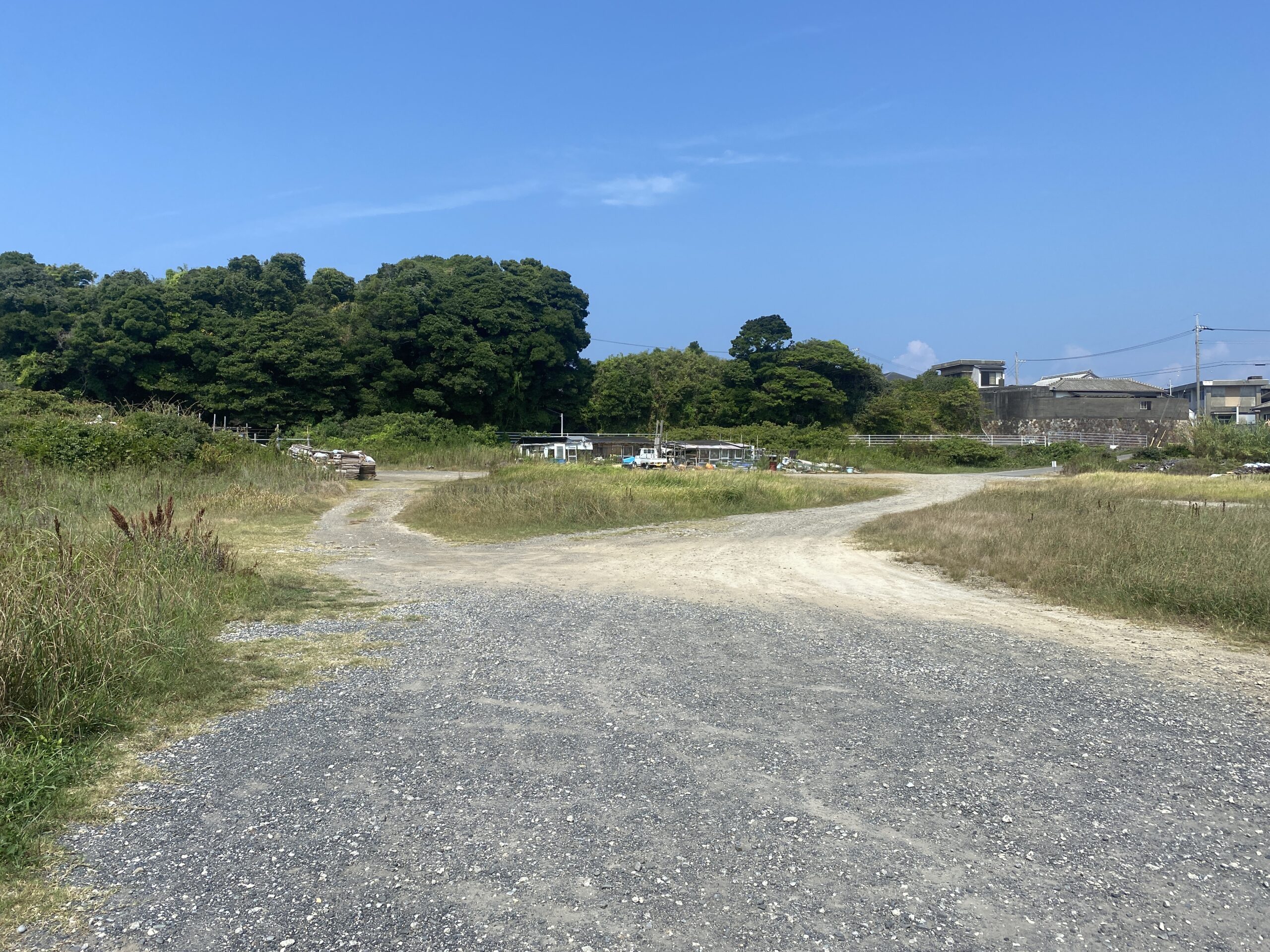 越賀漁港　釣り