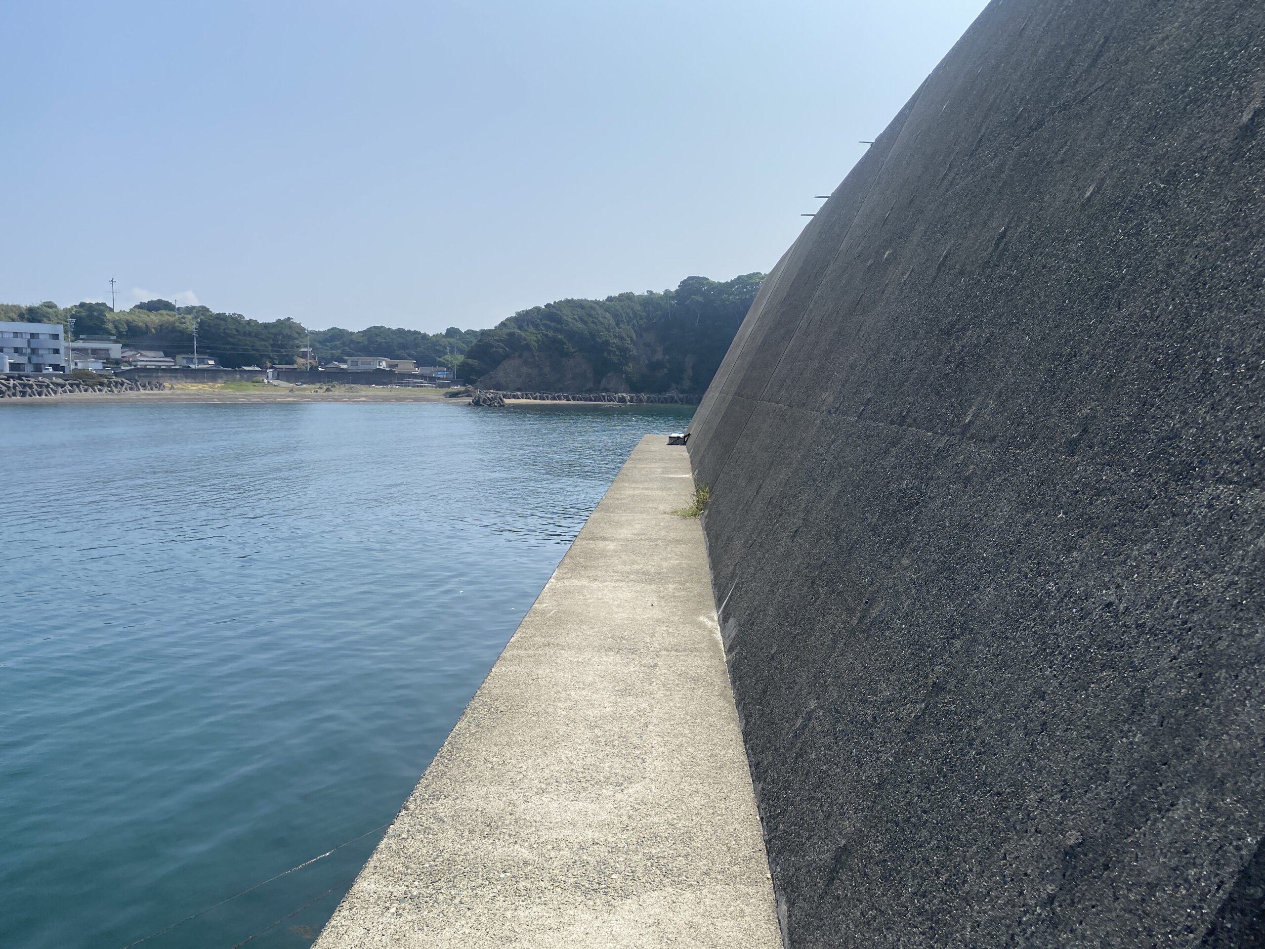 越賀漁港　釣り