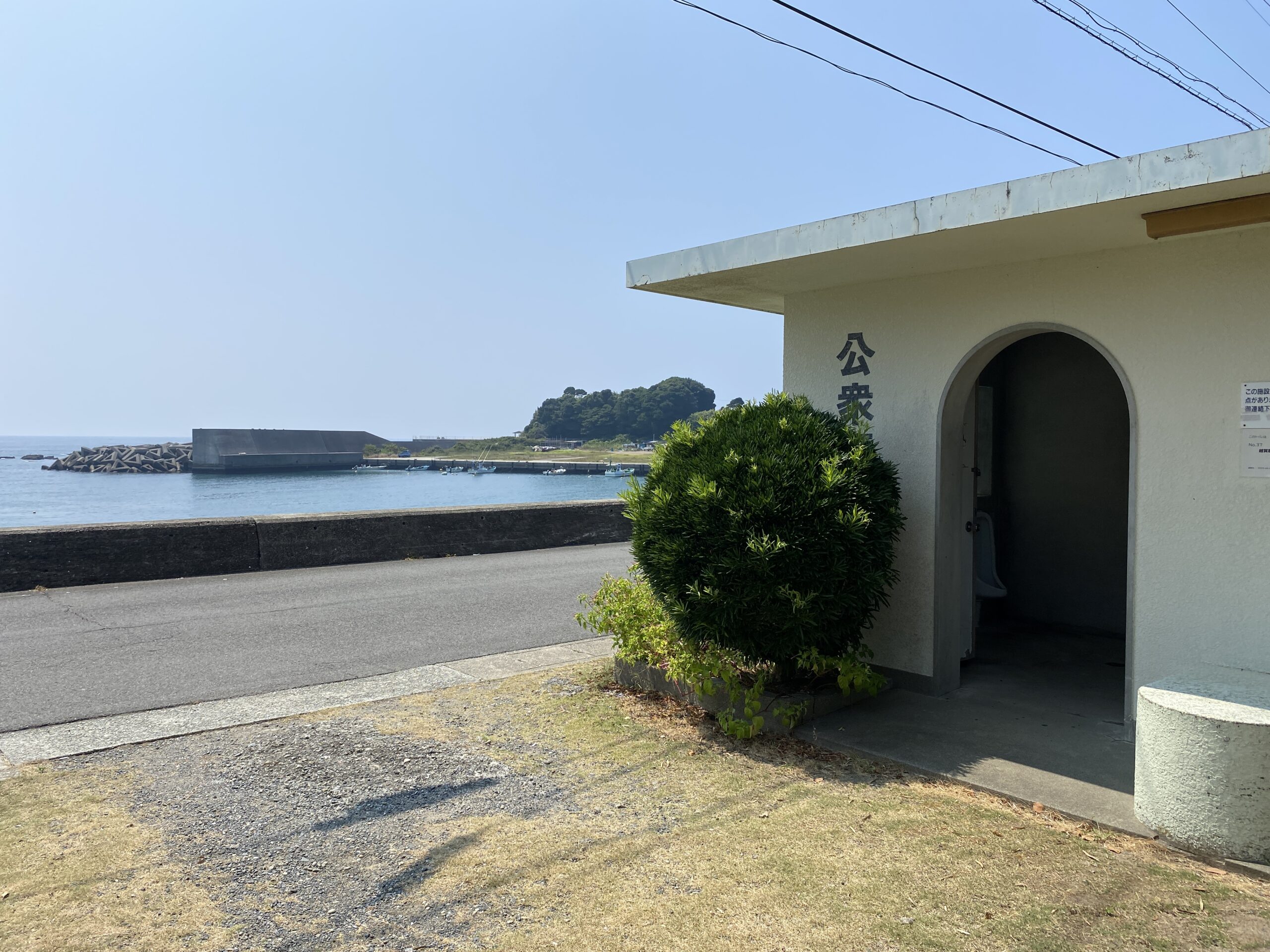 越賀漁港　釣り