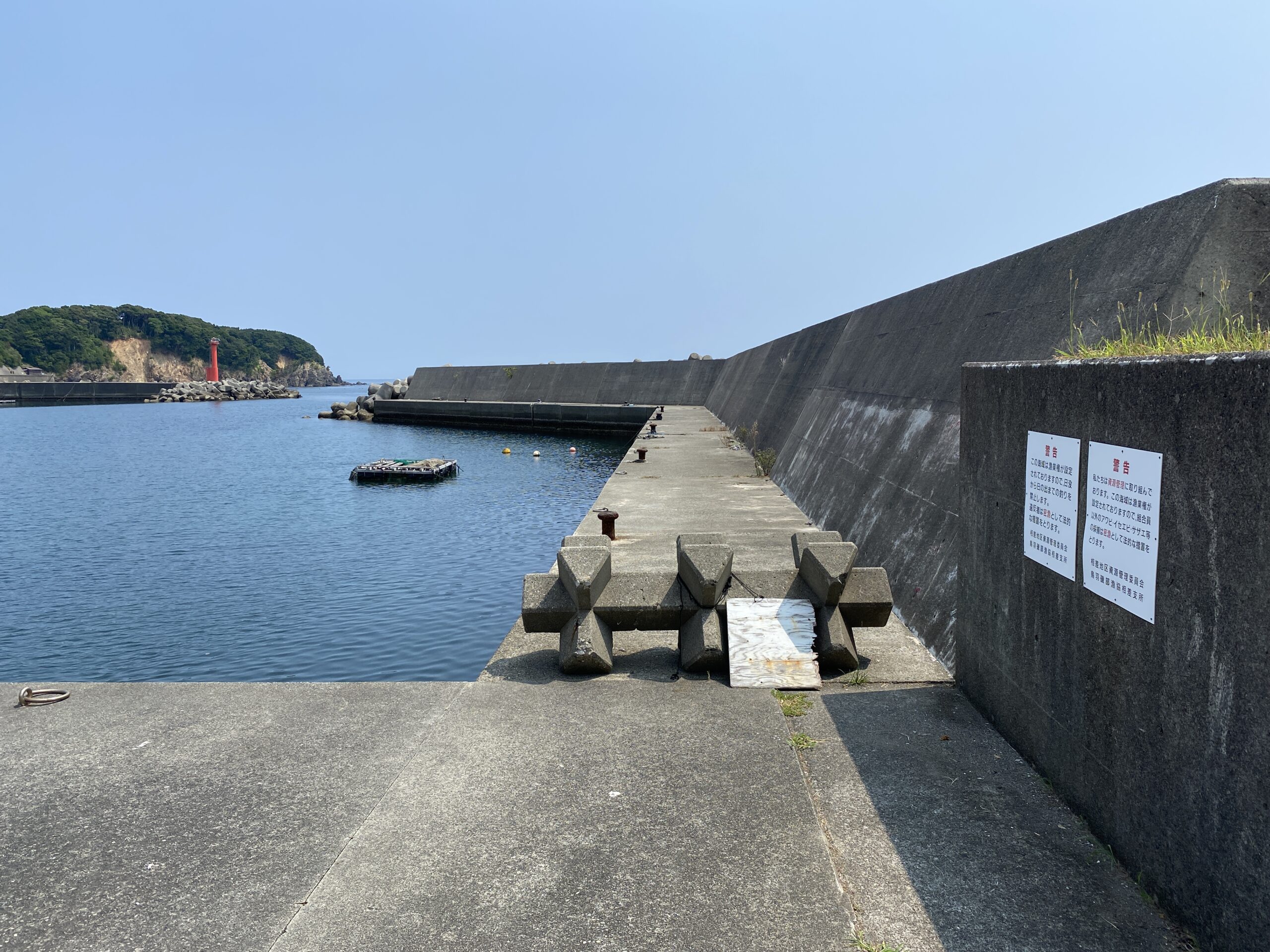 相差漁港　釣り