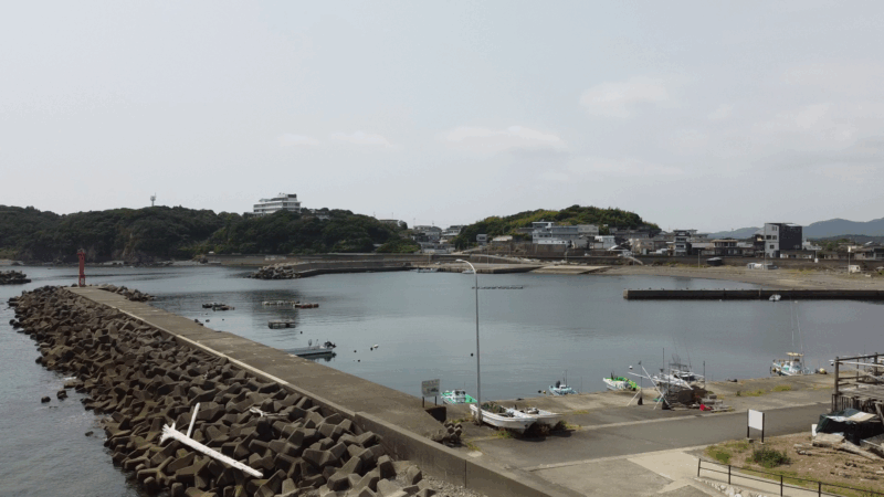 相差漁港　釣り