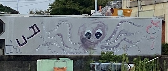 畔蛸漁港　釣り